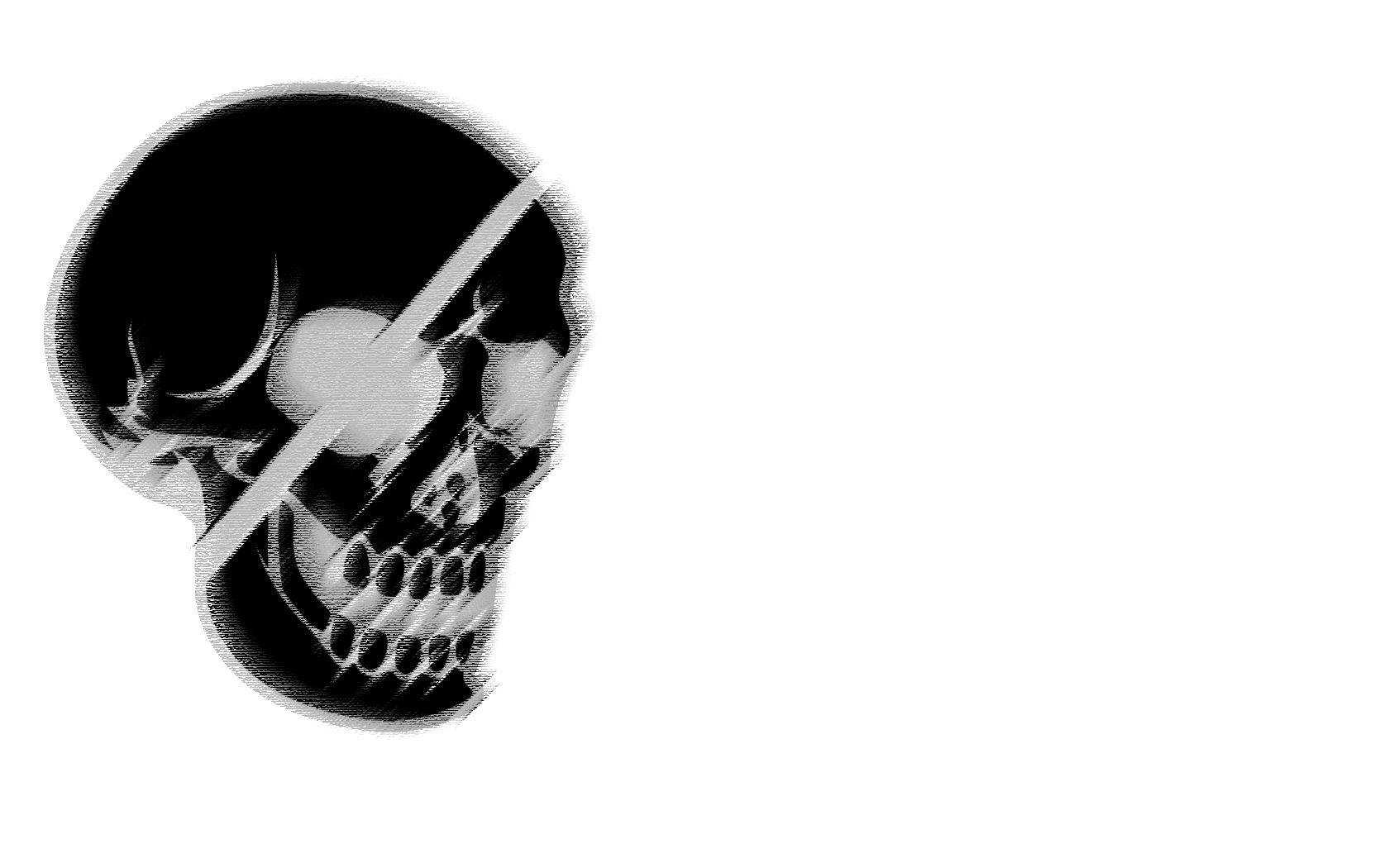 Skull Pirate In White Background