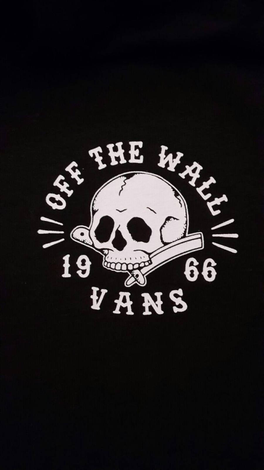 Skull Vans Logo 1966 Background