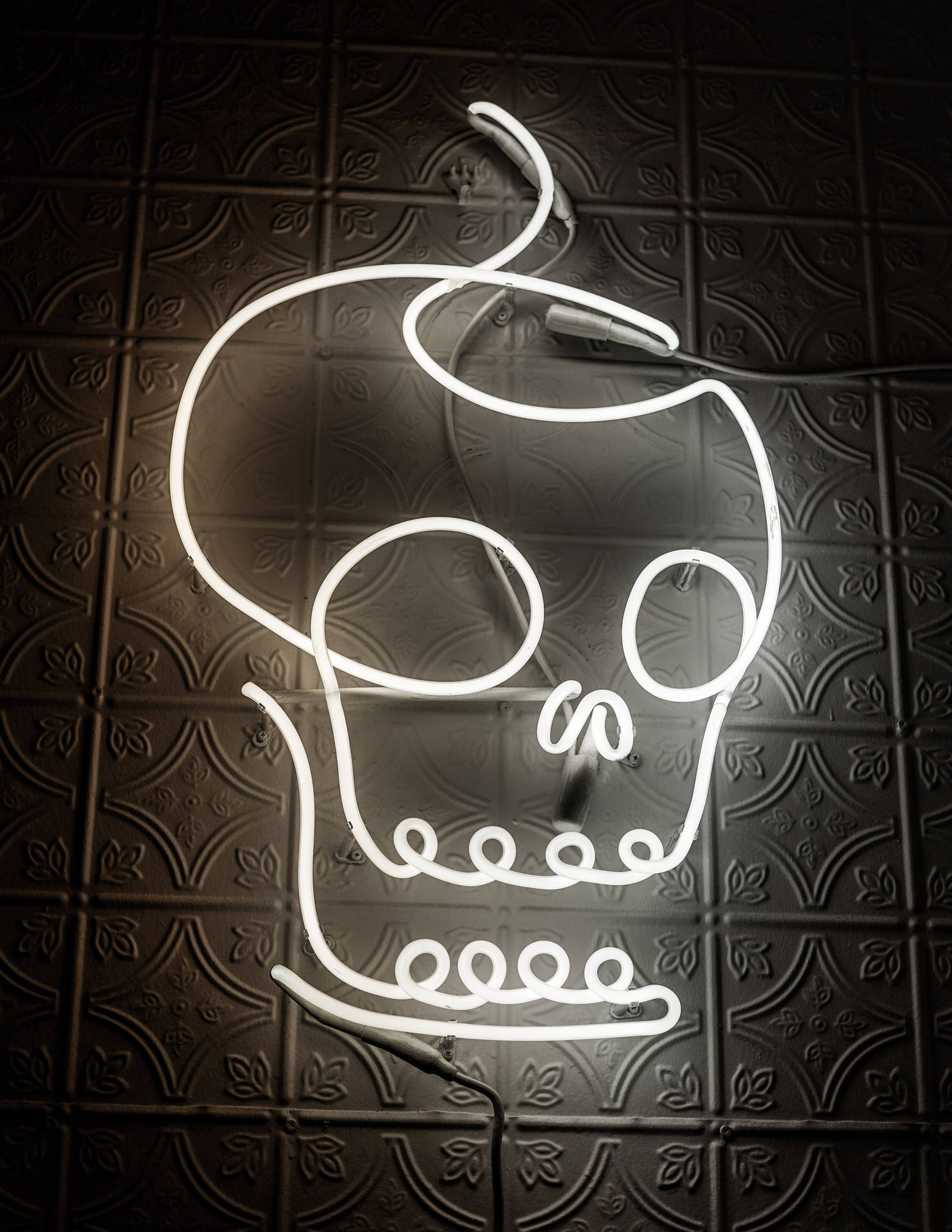 Skull White Neon Aesthetic Background