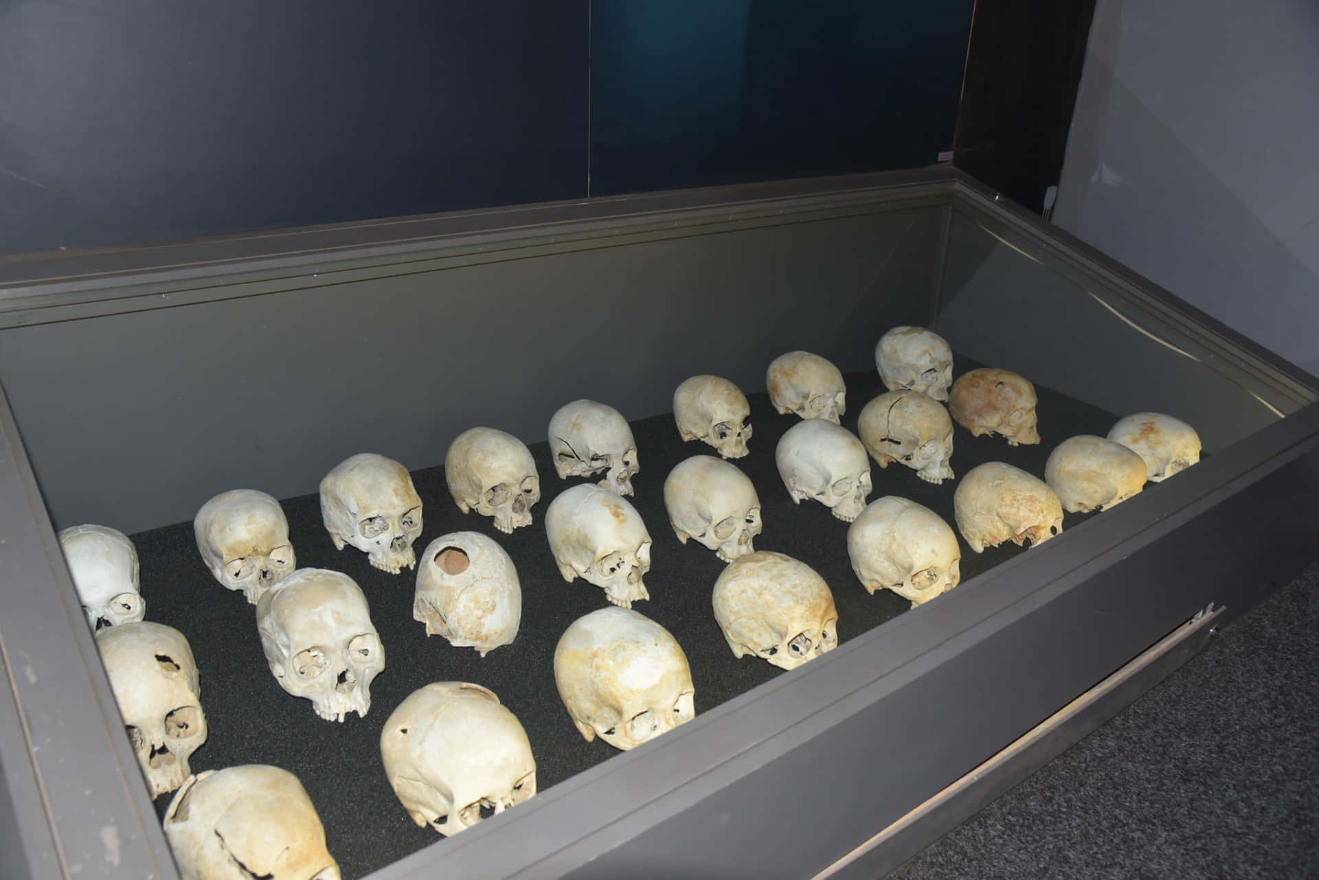 Skulls At Kigali Genocide Memorial Background