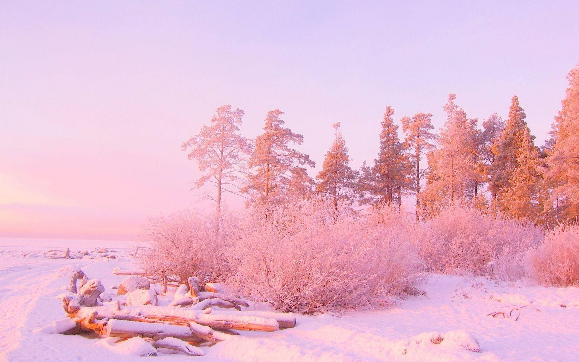 Sky And Trees In Pink Pastel Aesthetic Desktop Background