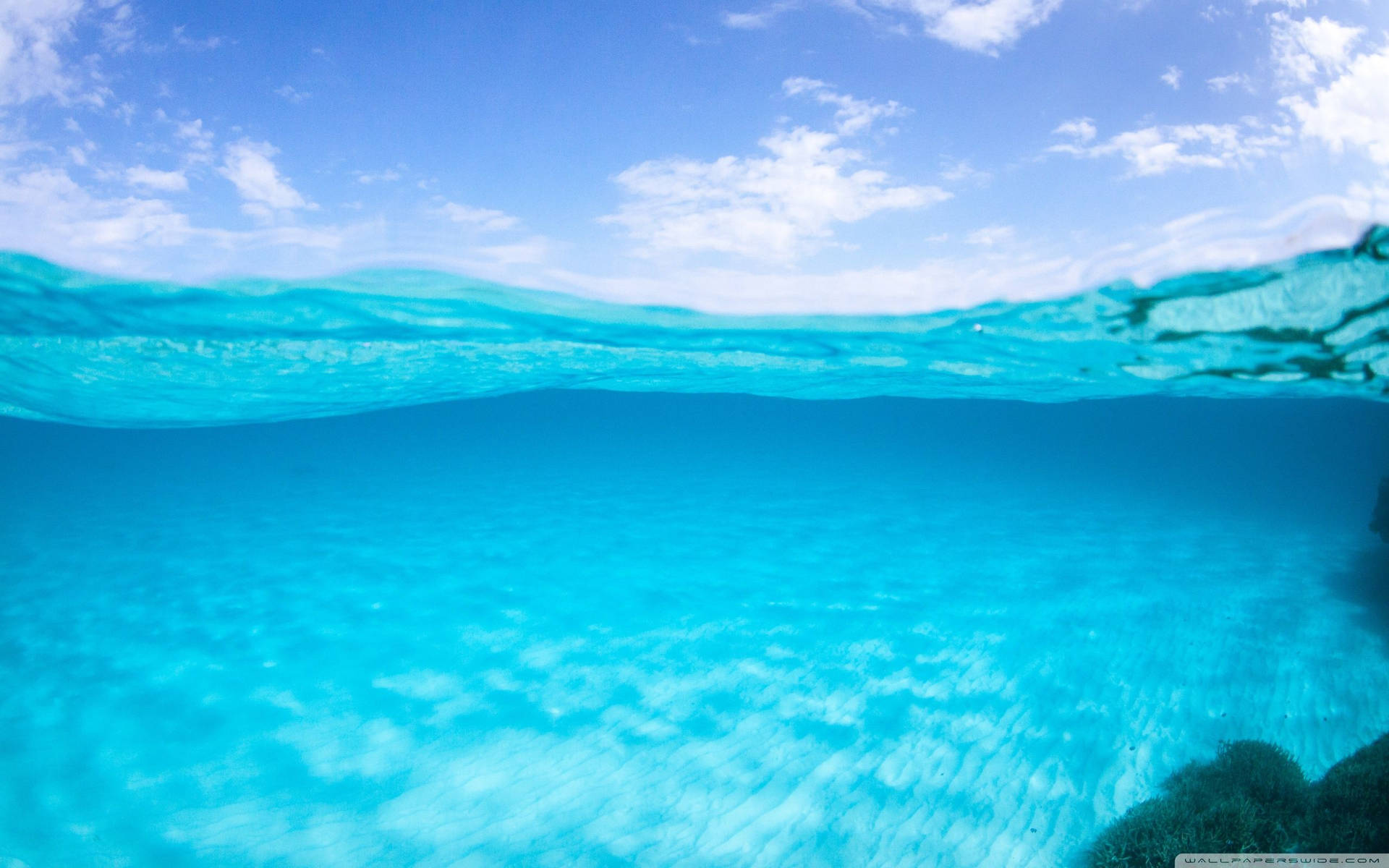 Sky And Underwater View Background