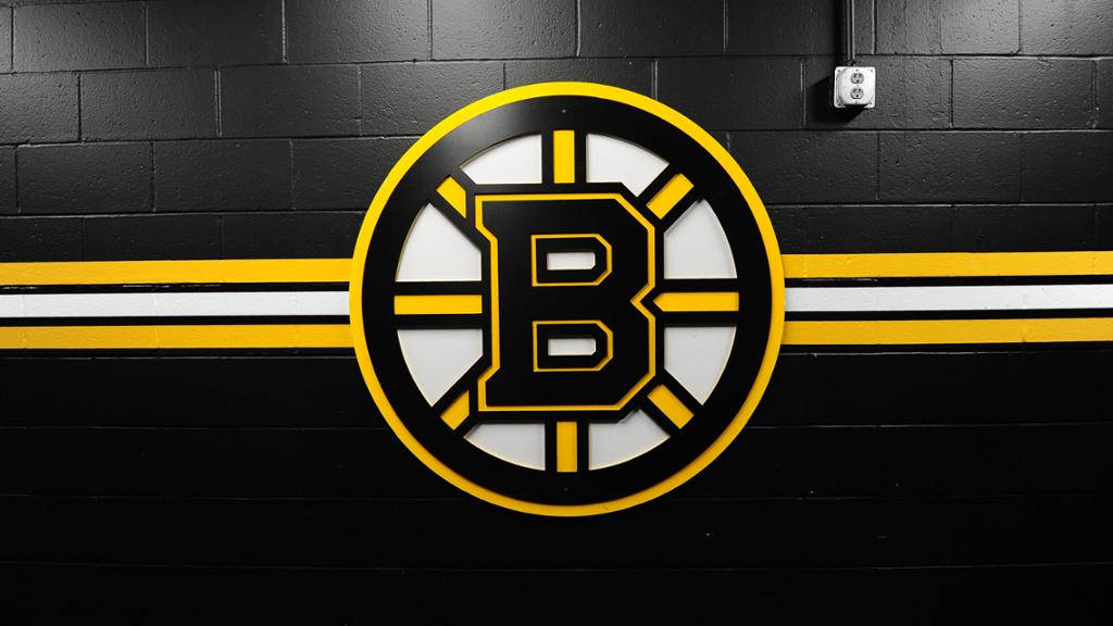 Sky Blue And White Boston Bruins Logo Background