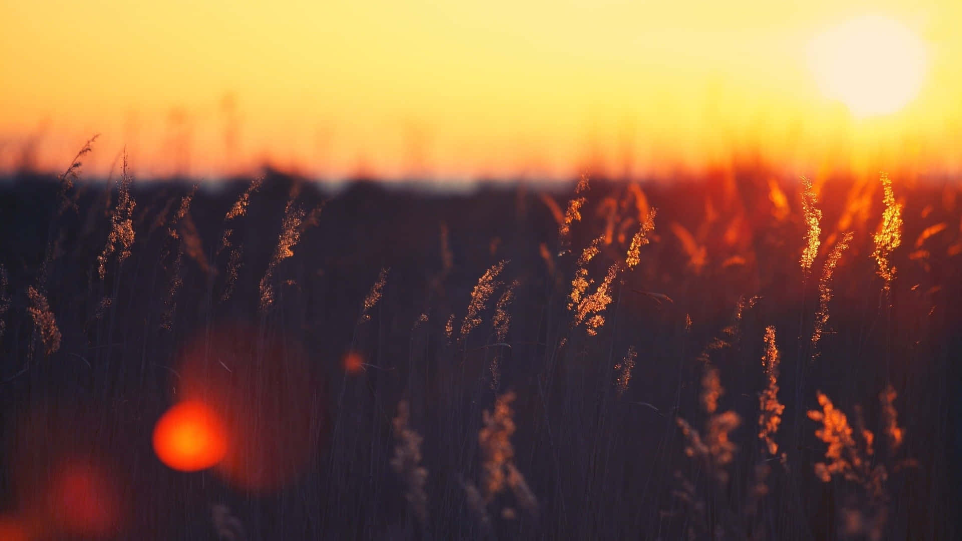 Sky In A Kaleidoscope Of Colour. Background