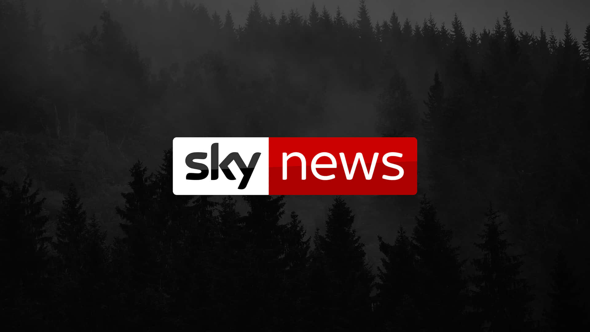 Sky News Dark Forest Background