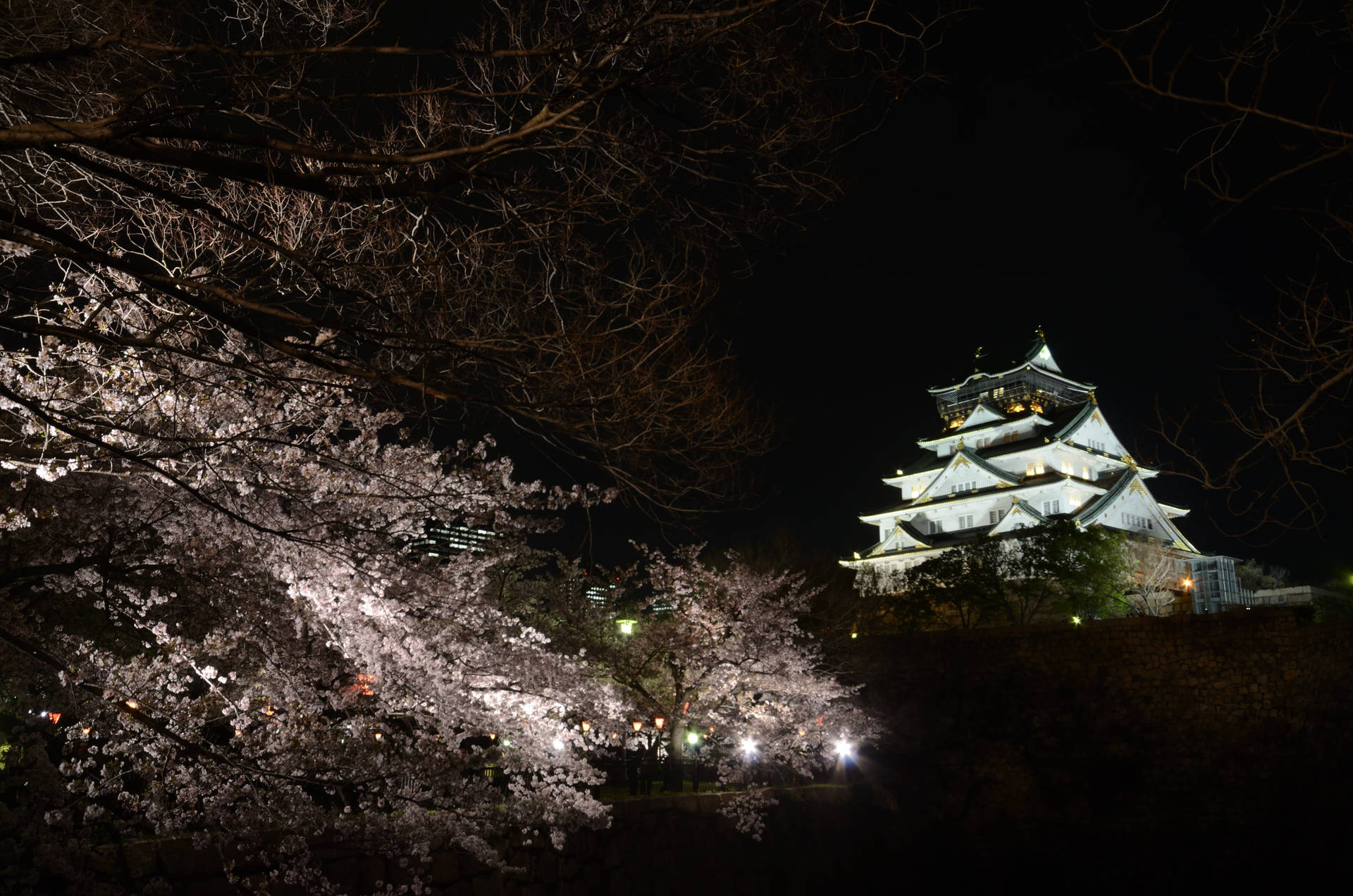 Sky-scraping Osaka Castle Background