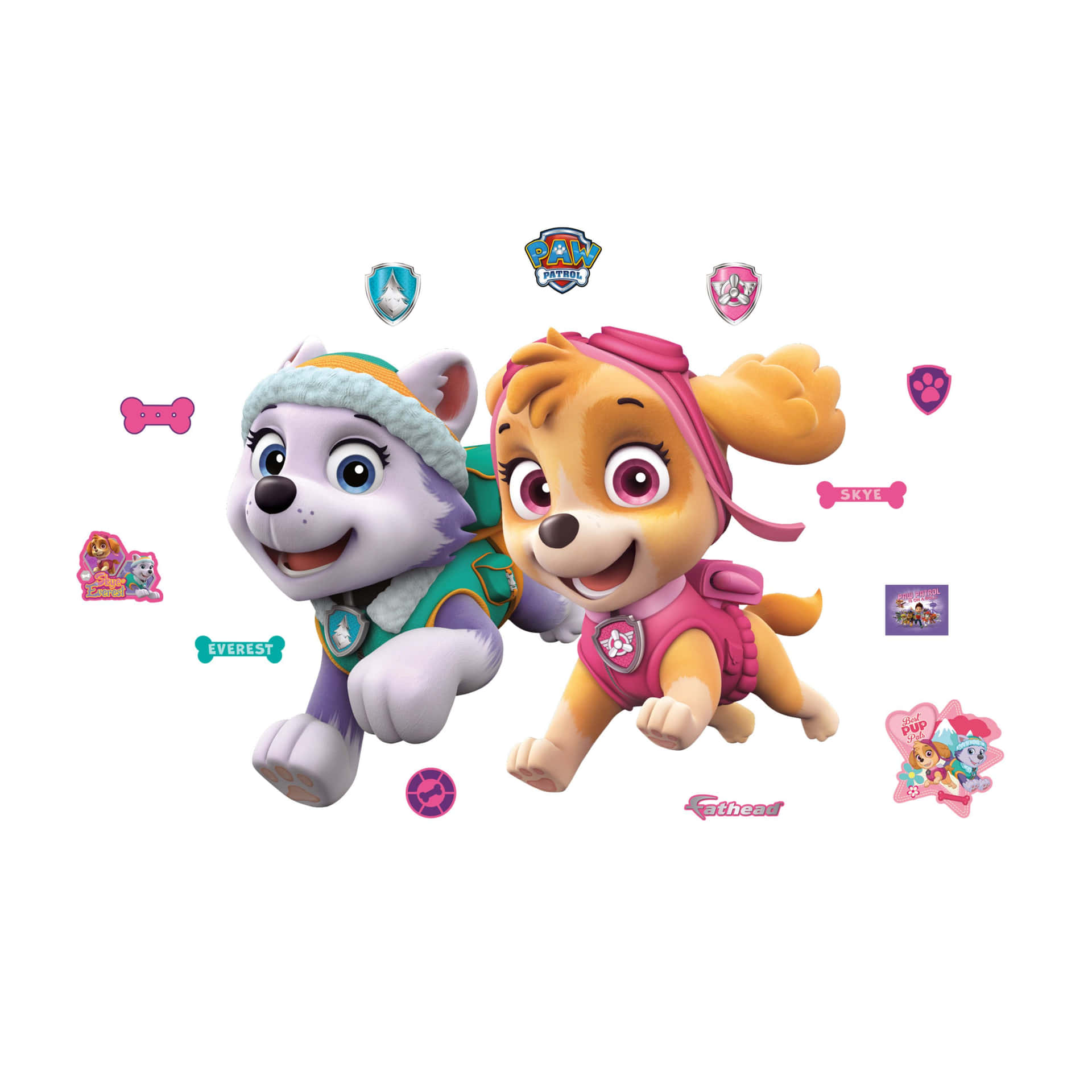 Skye Paw Patrol Bestfriend Pups Background