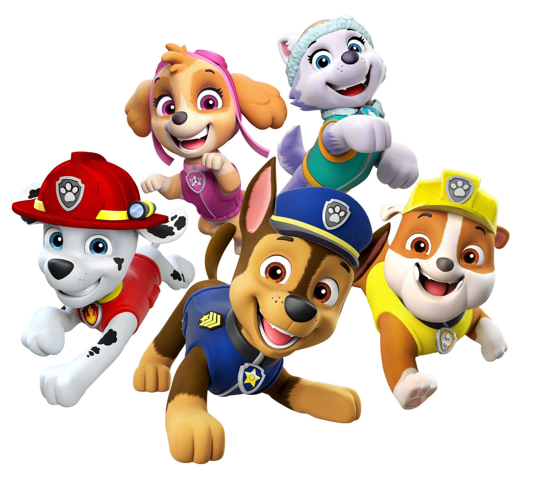 Skye Paw Patrol Puppy Characters White Canvas Background