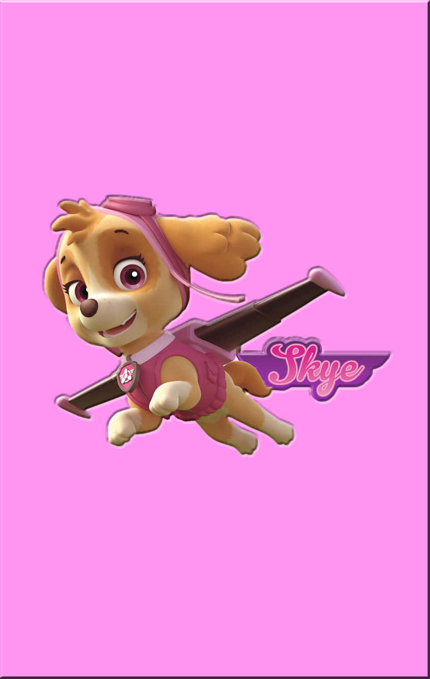 Skye Paw Patrol Zuma In Pink Canvas Background