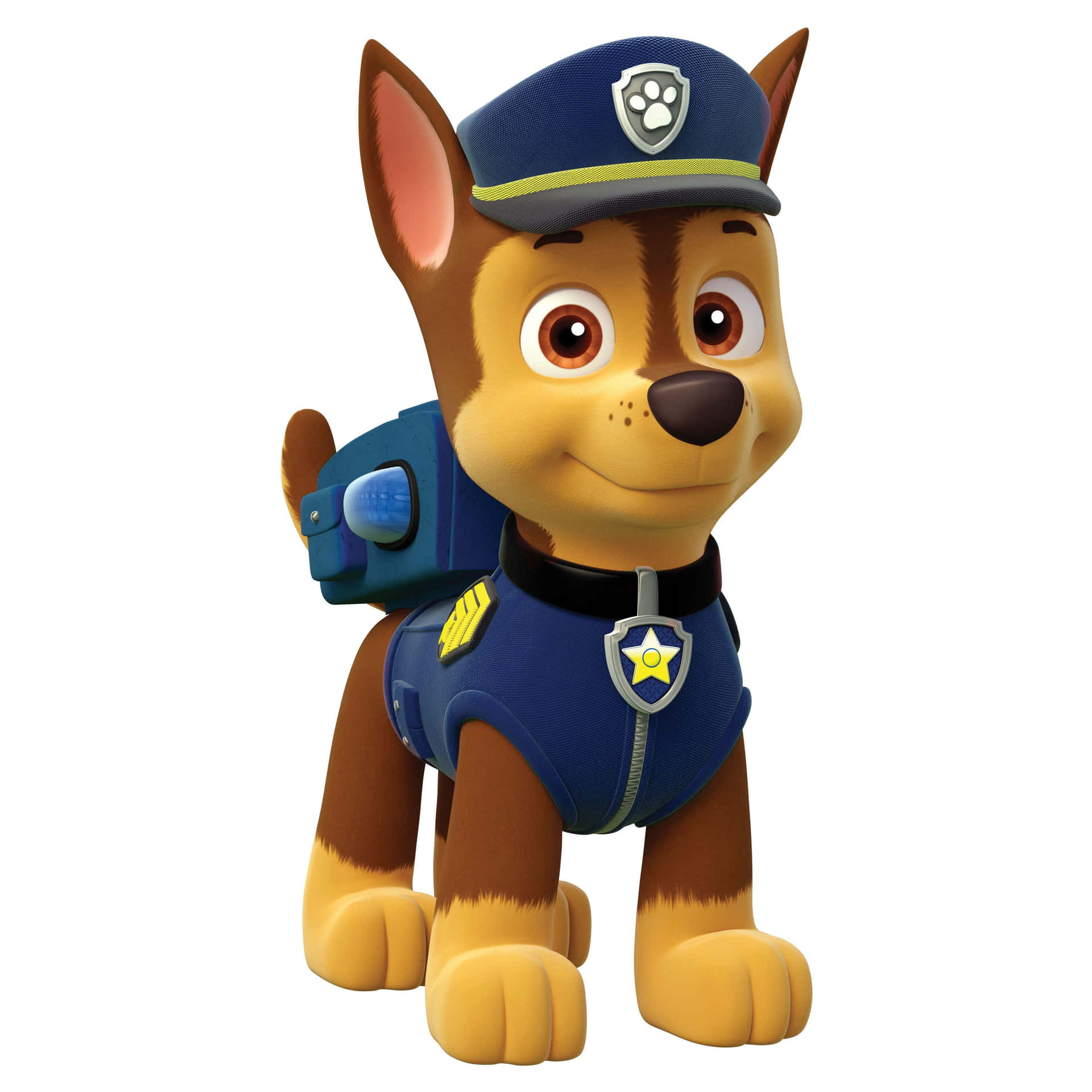 Skye, The Courageous And Loyal Pup Of The Paw Patrol Background