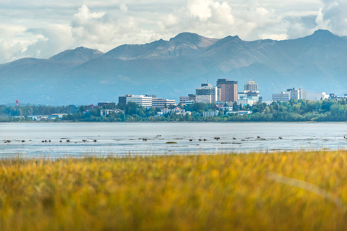 Skyline Of Anchorage