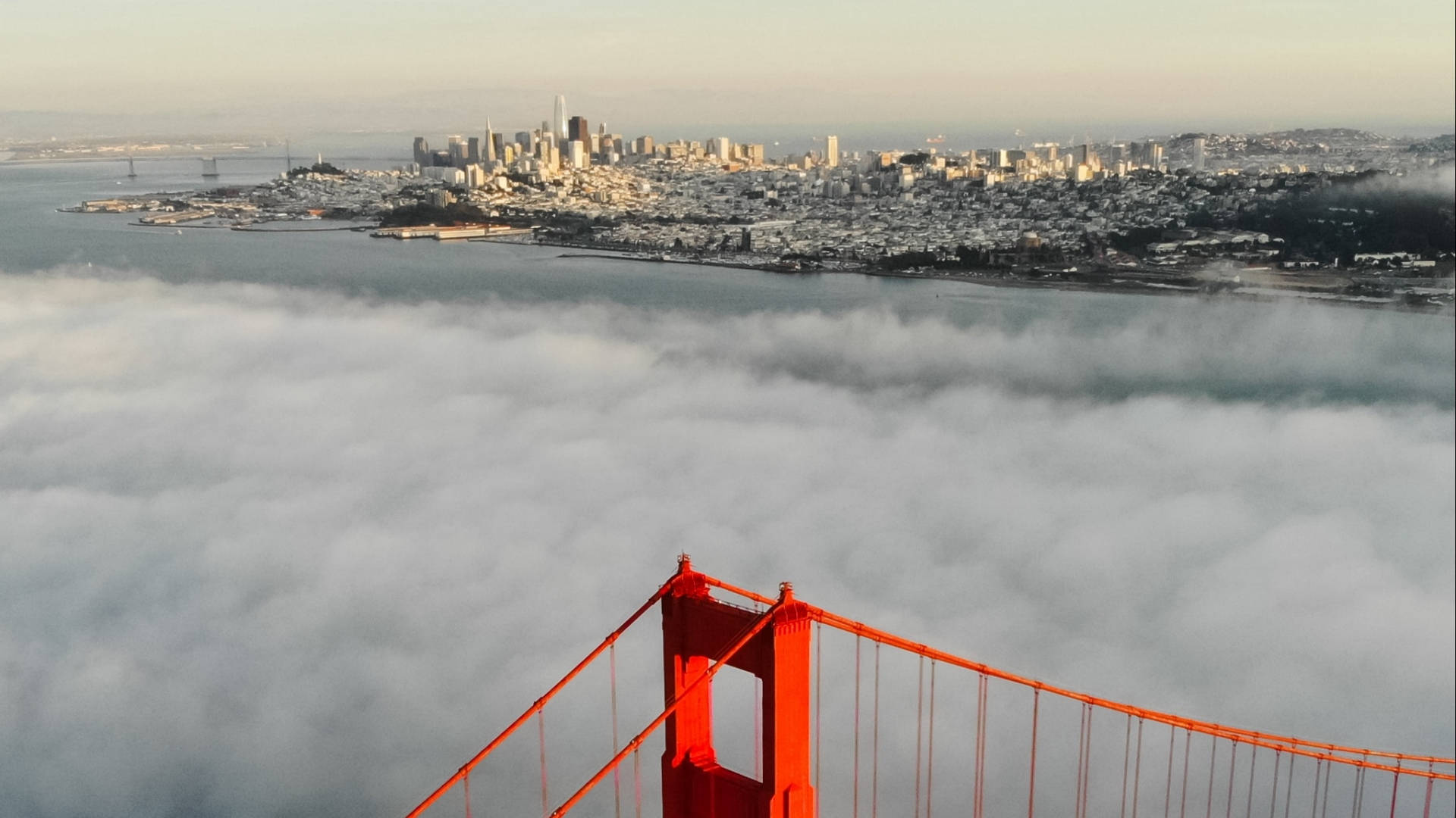 Skyline Of San Francisco, Usa