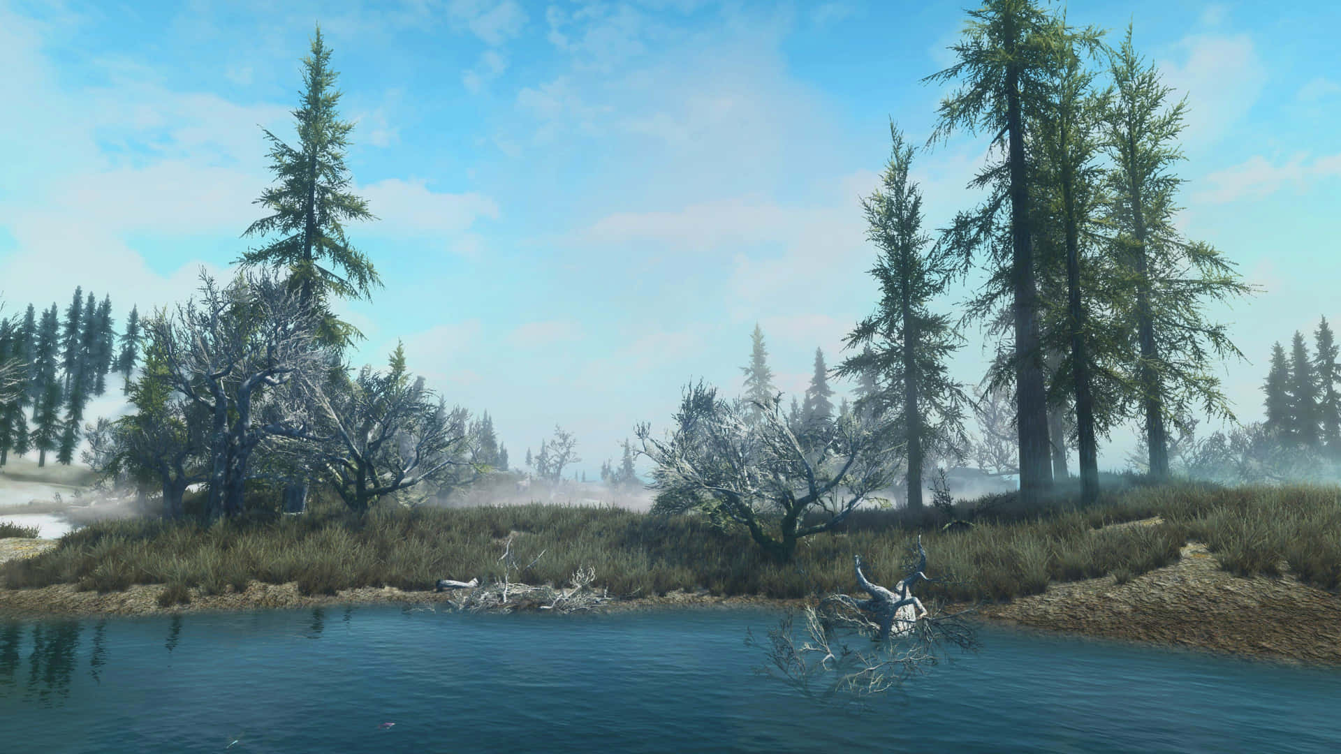 Skyrim Cold Swamp Landscape Background