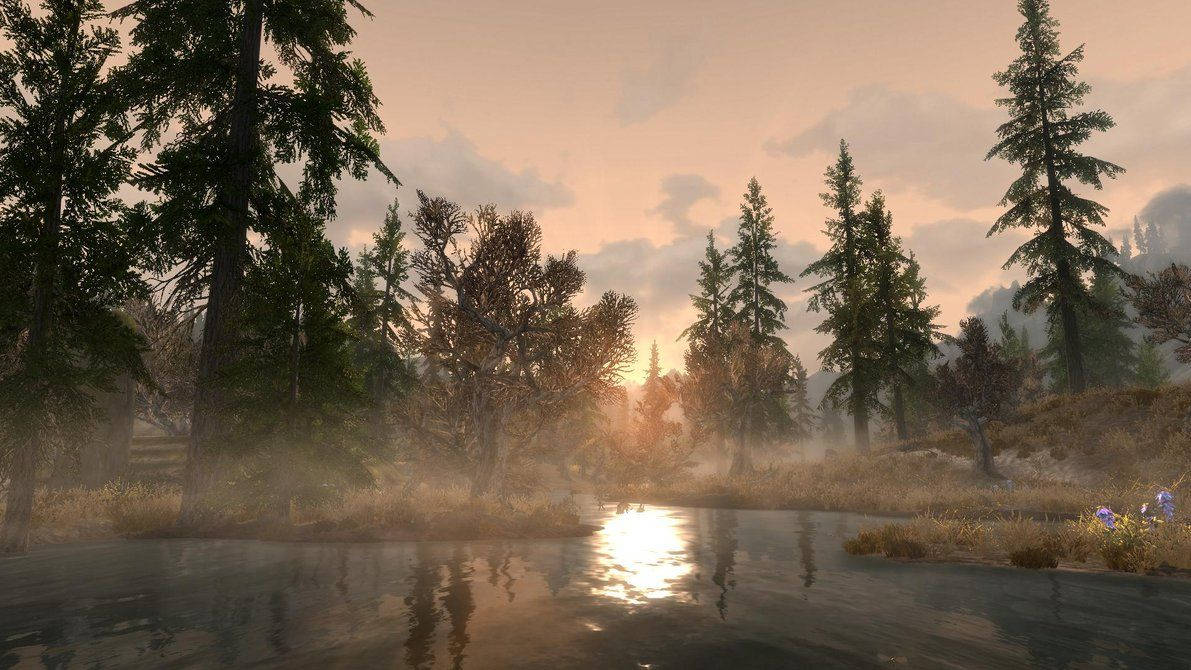 Skyrim Game Forest Scenery Background