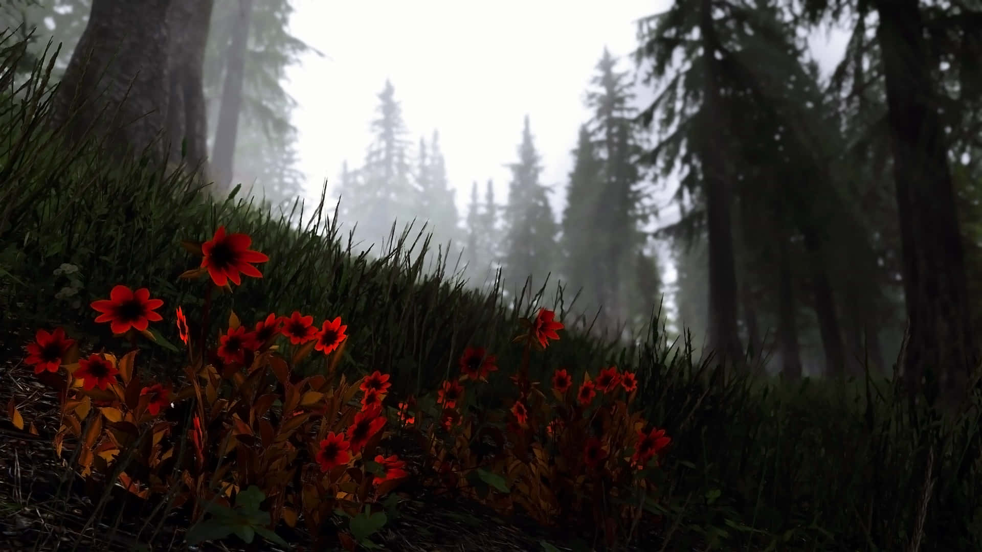 Skyrim Landscape Floral Grass Background