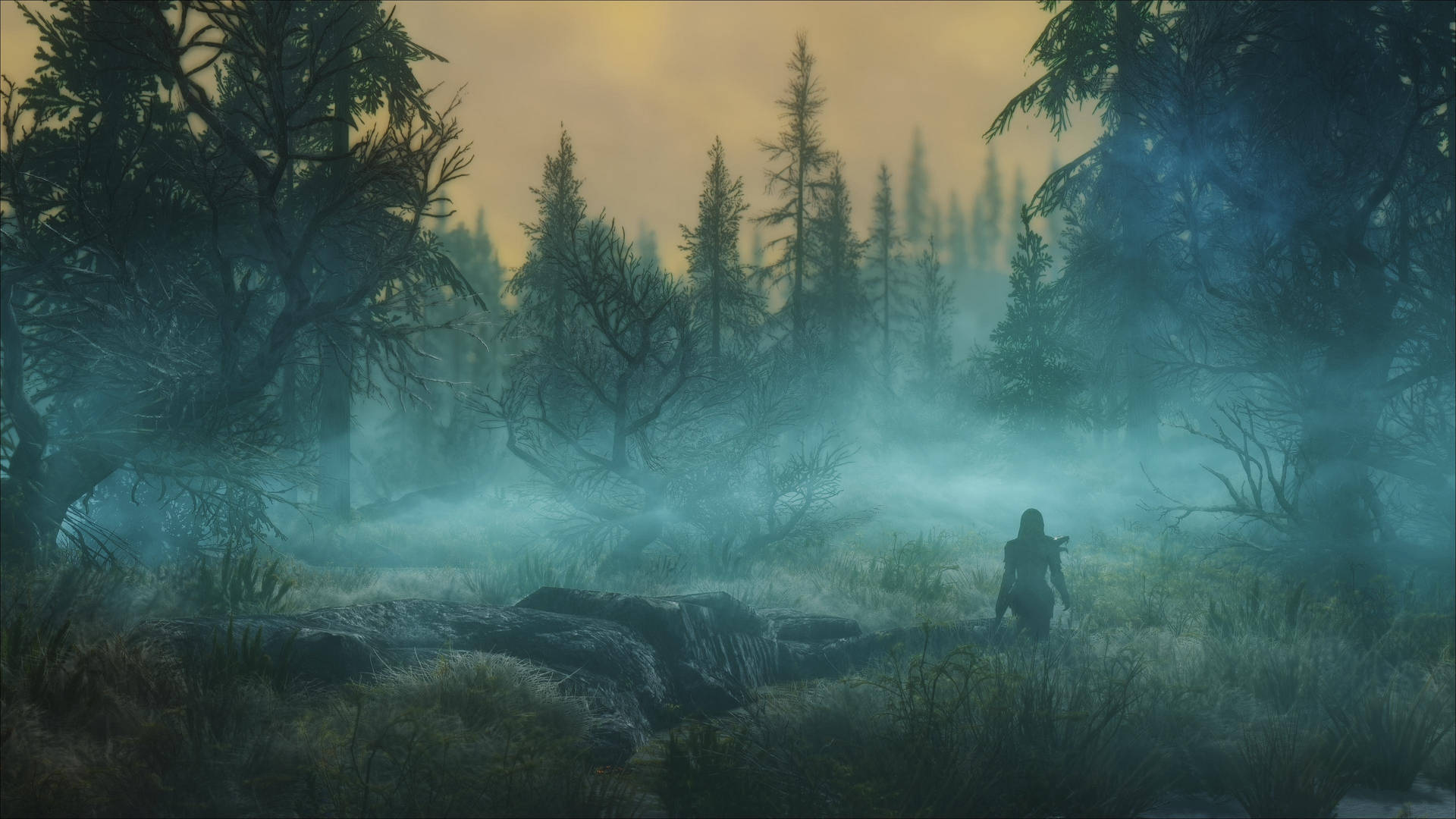 Skyrim Ultra Hd Misty Dark Forest Background