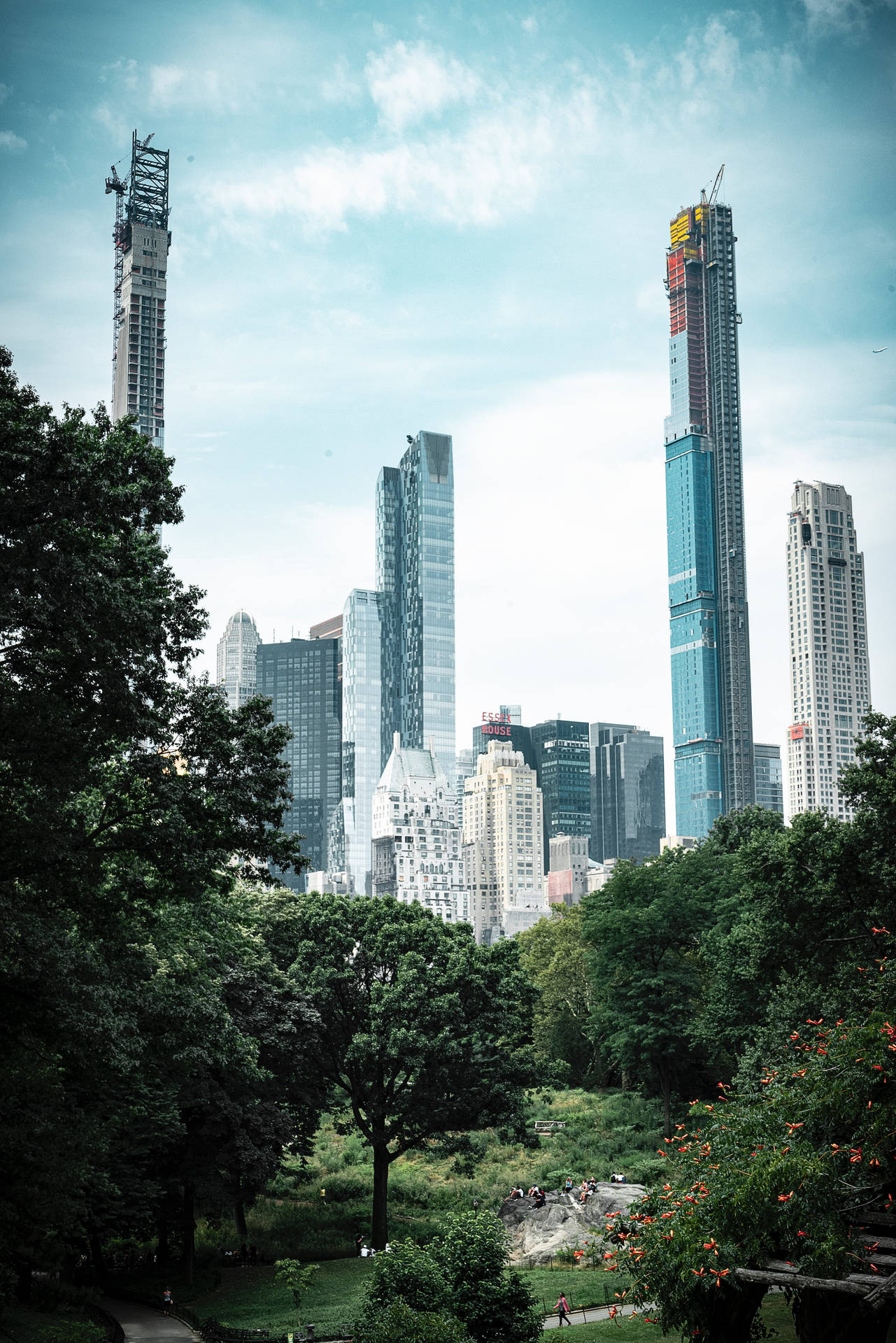 Skyscrapers Outside Central Park