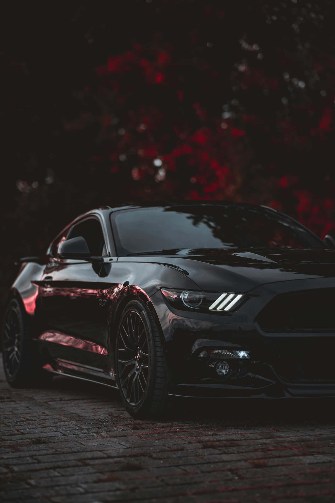 Sleek Black Muscle Car Night Background
