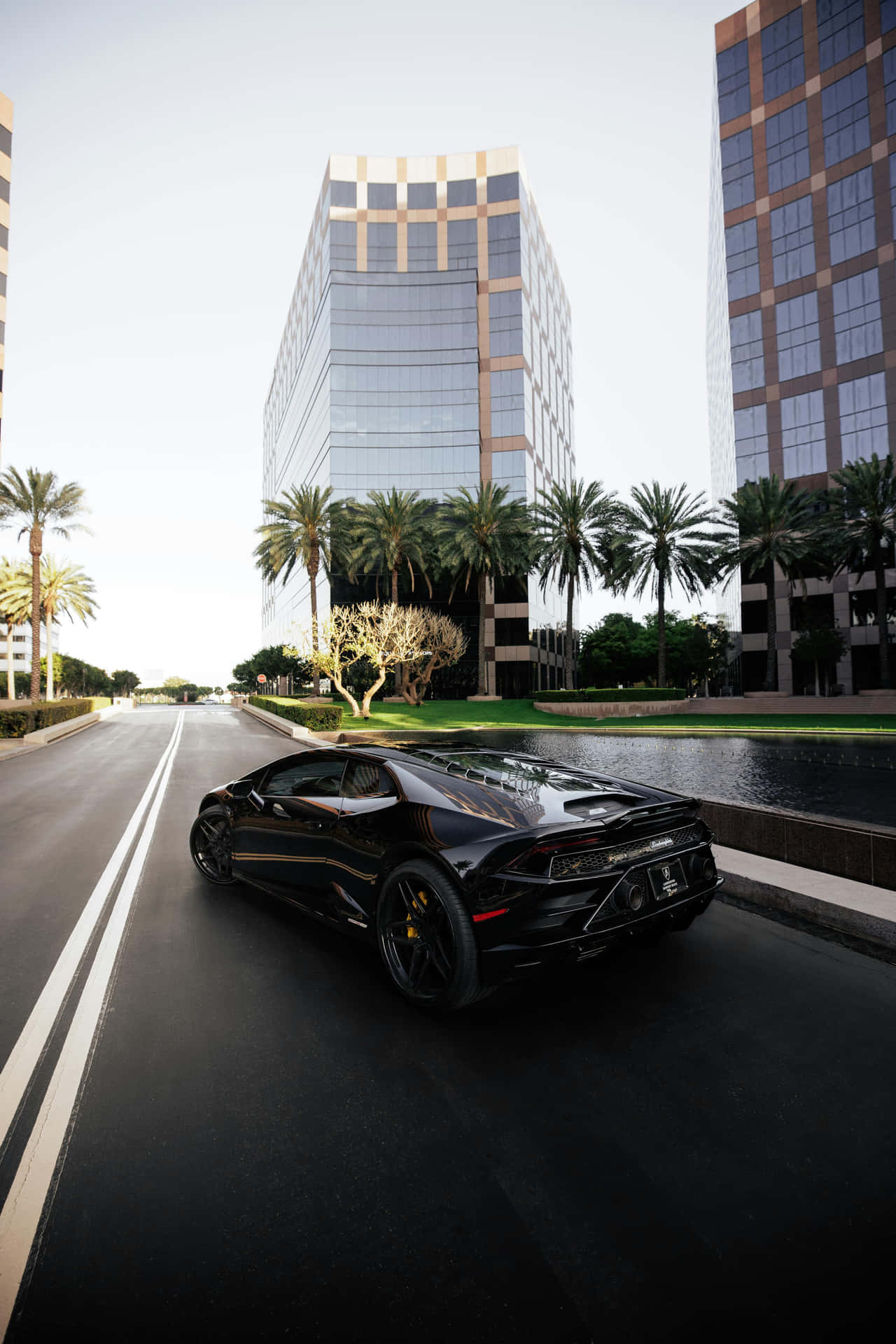 Sleek_ Black_ Sports_ Car_ Urban_ Setting.jpg Background