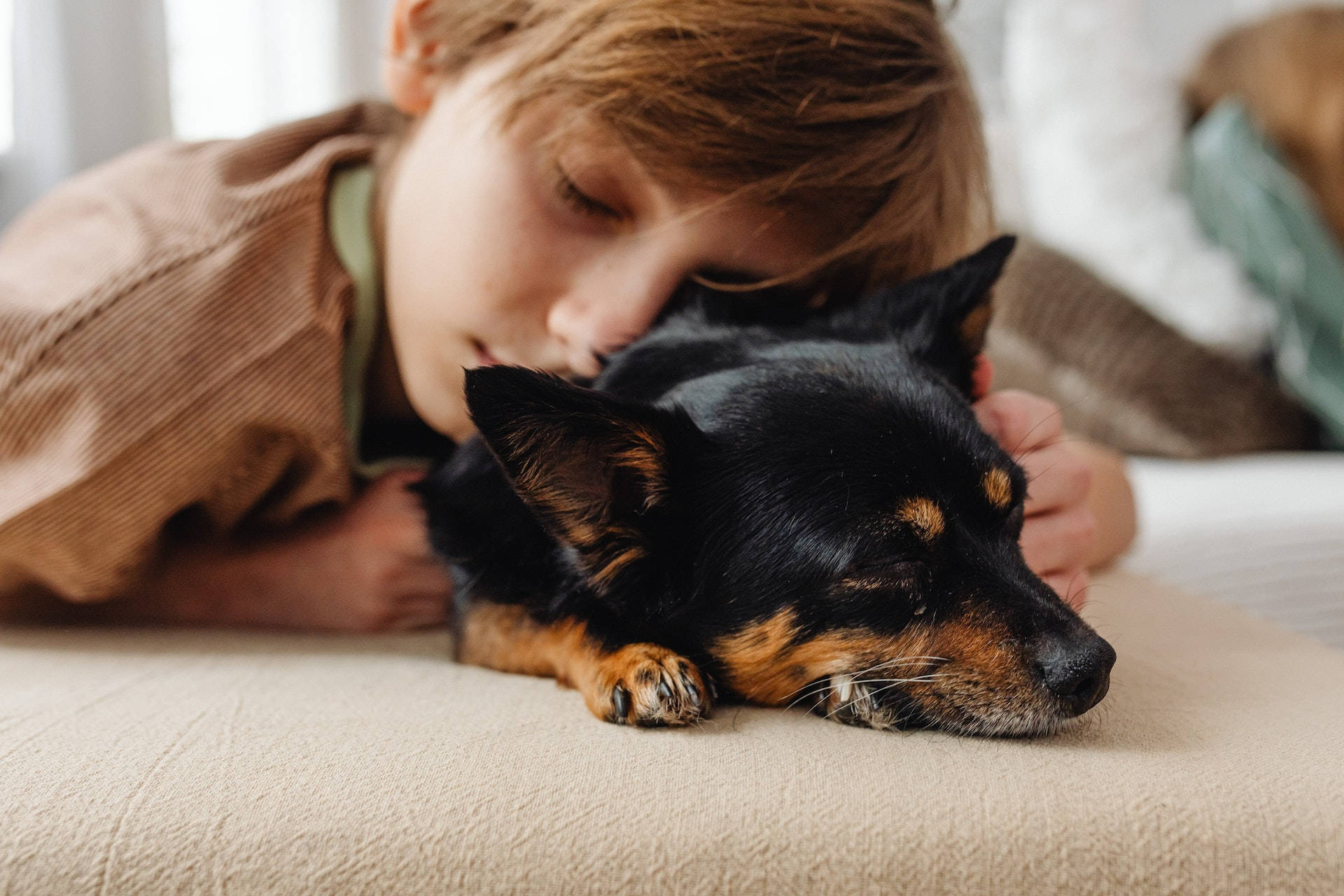 Sleeping Dog And A Baby Background