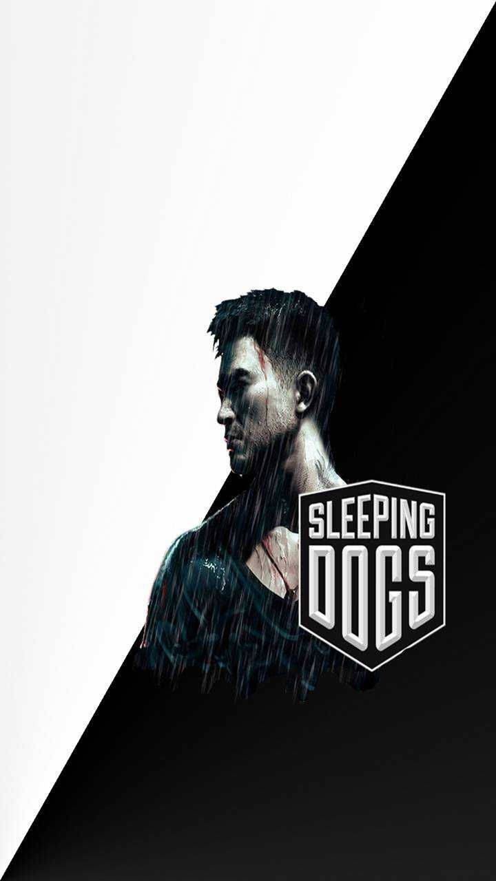Sleeping Dogs Minimalist Art Background