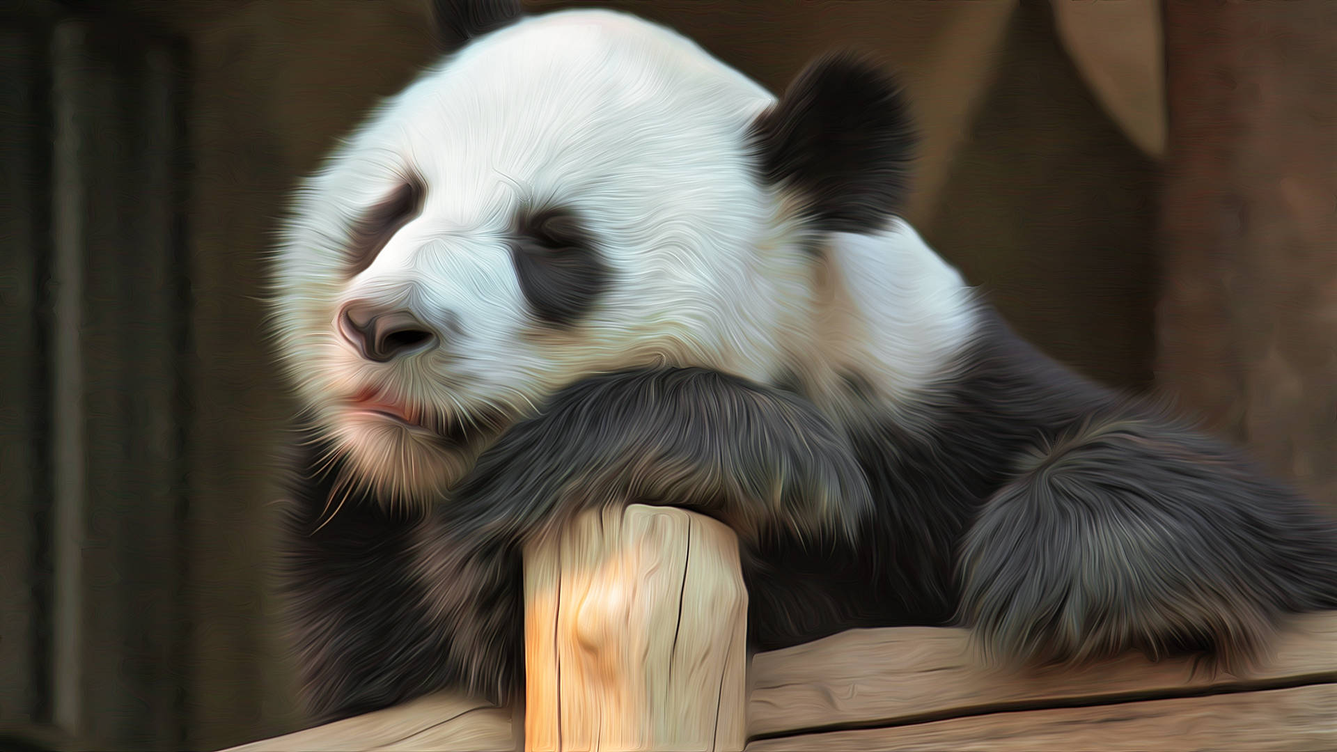 Sleepy Beautiful Panda Stump Background