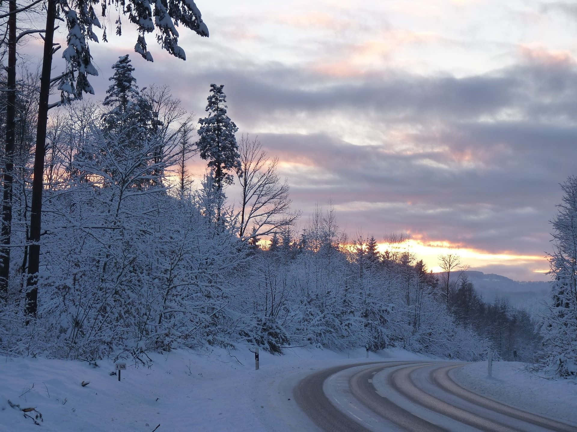 Sleet Covering A Roadside Forest Background