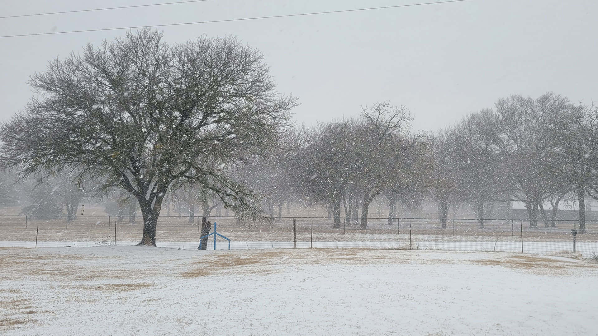 Sleet Pouring Down On A Land Background