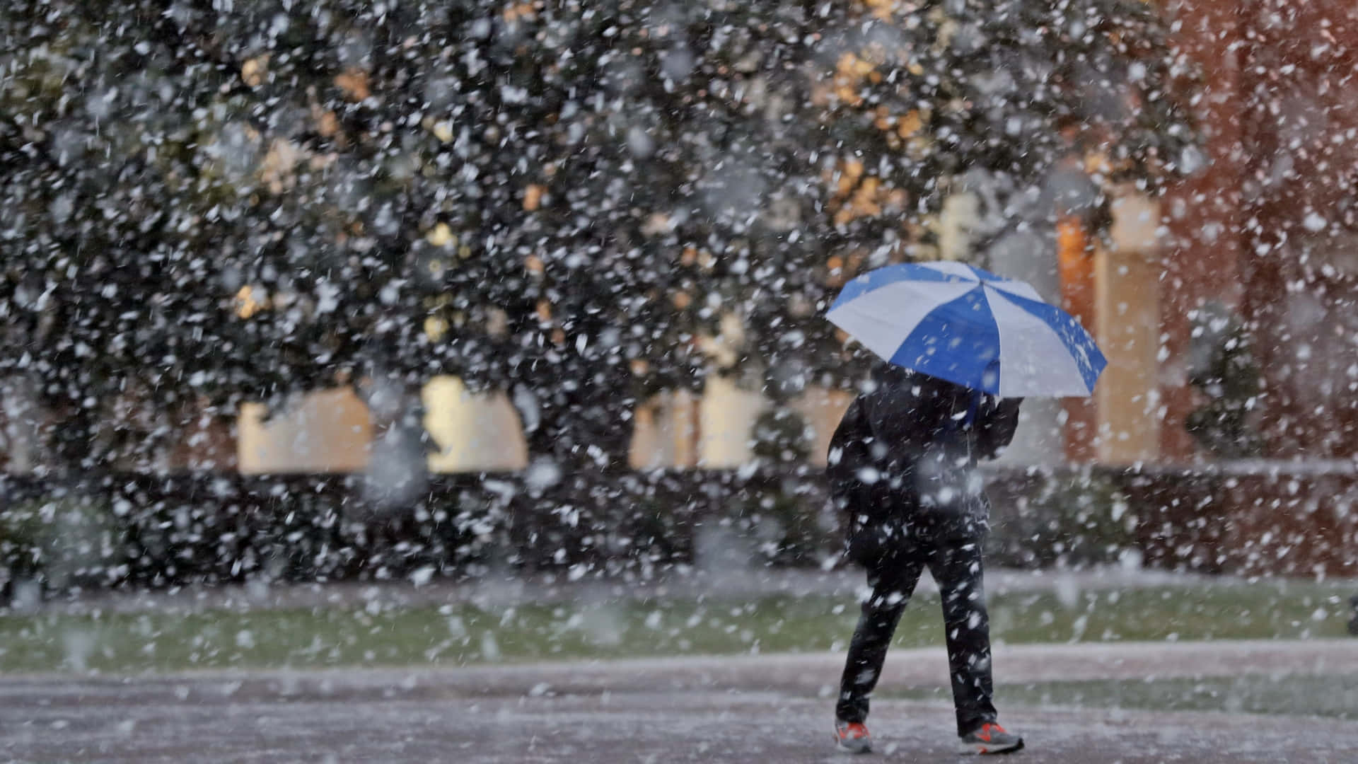 Sleet Raining Down On An Umbrella Background