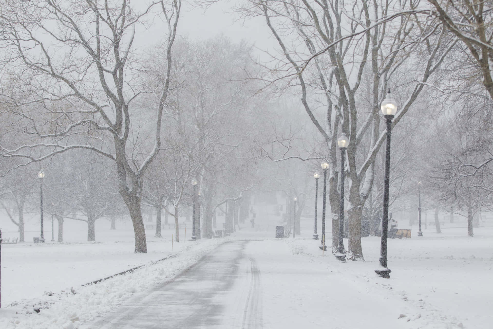 Sleet Snowstorm In A Park Background