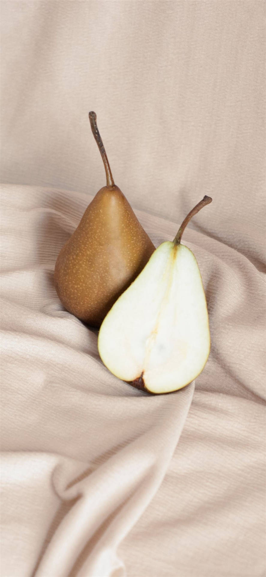 Slice Of Pear