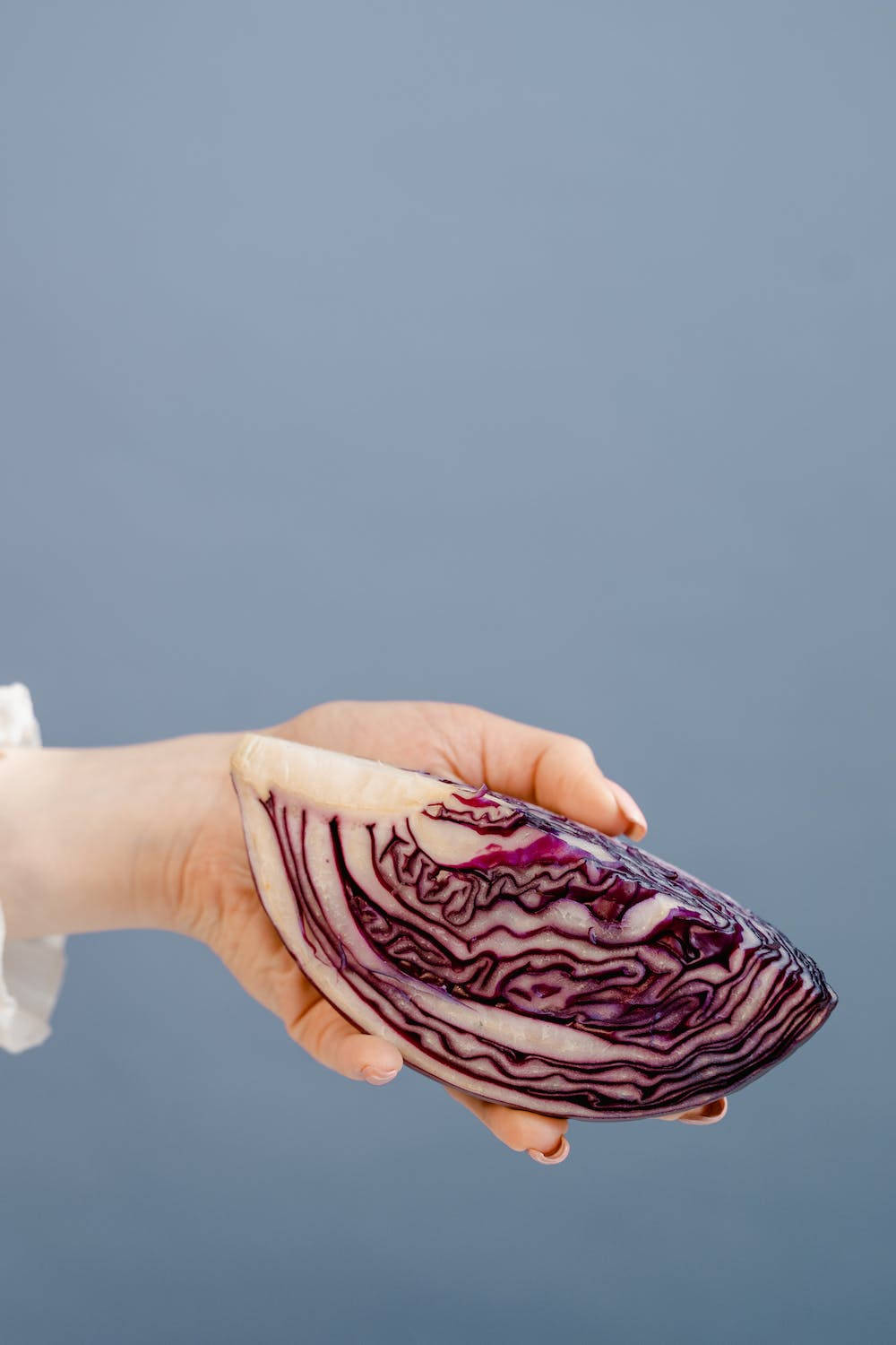 Sliced Cabbage Background