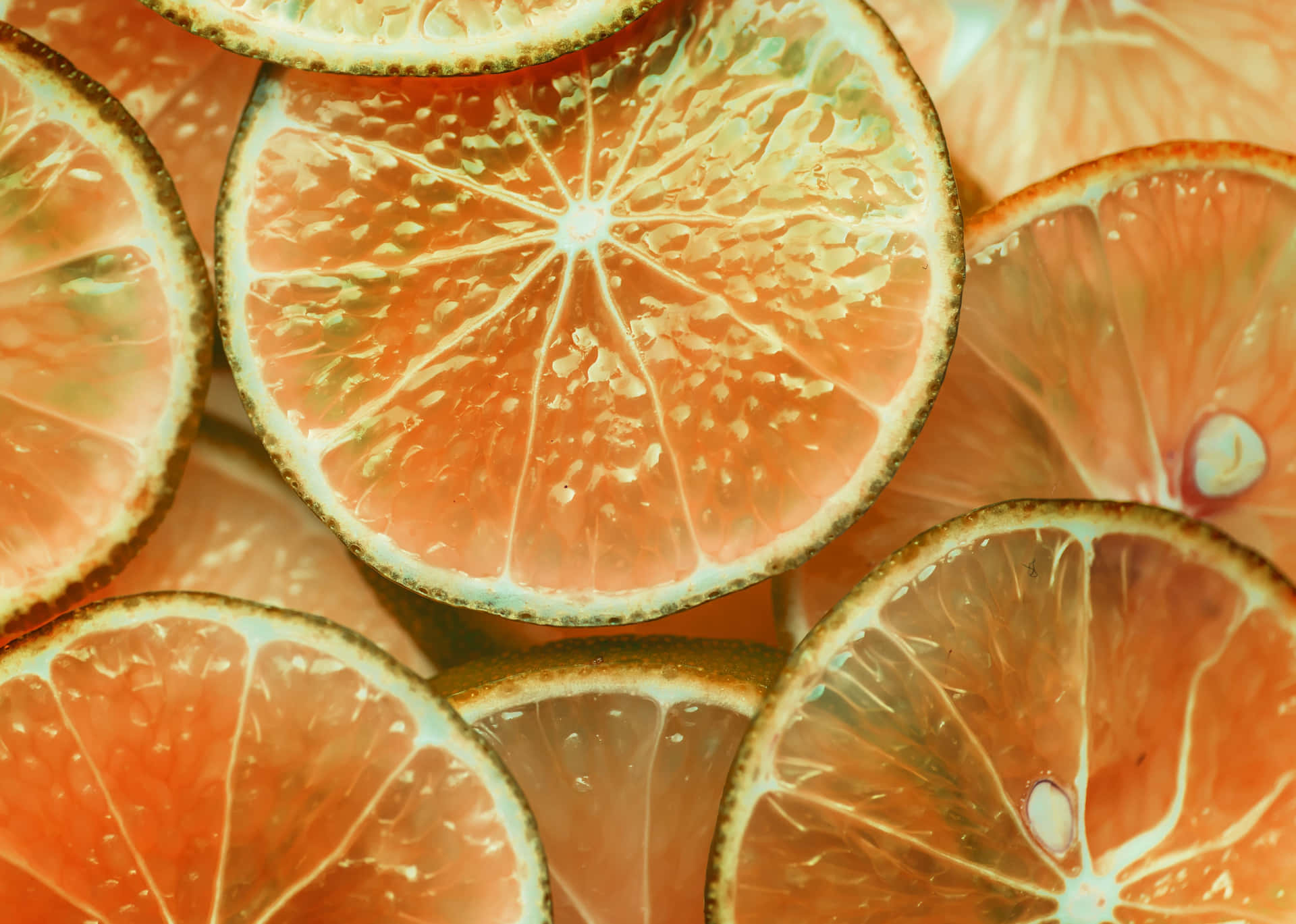 Sliced Citrus Fruit Texture Background