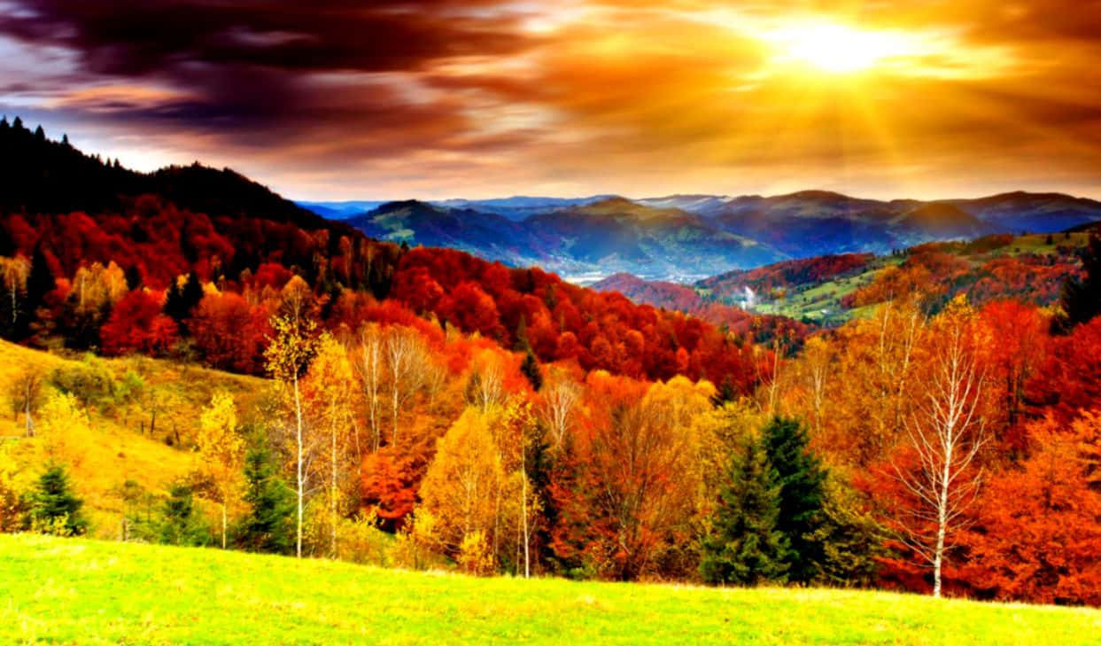 Sloping Hills Fall Autumn Desktop Background