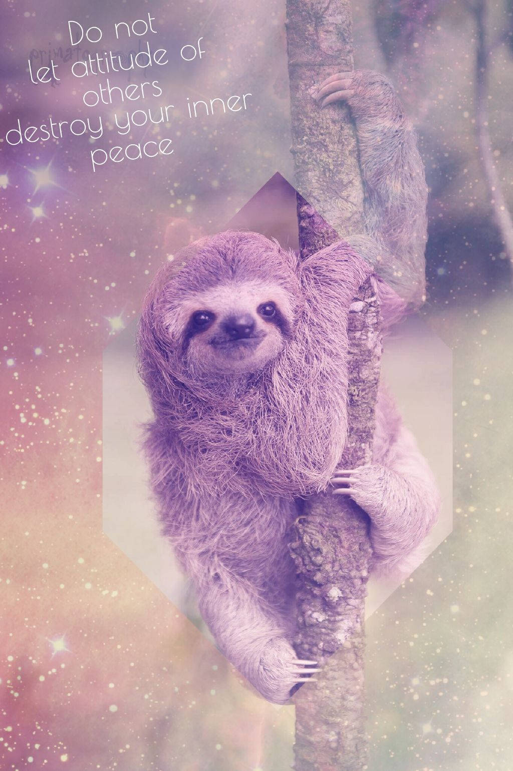 Sloth Clinging On Tree