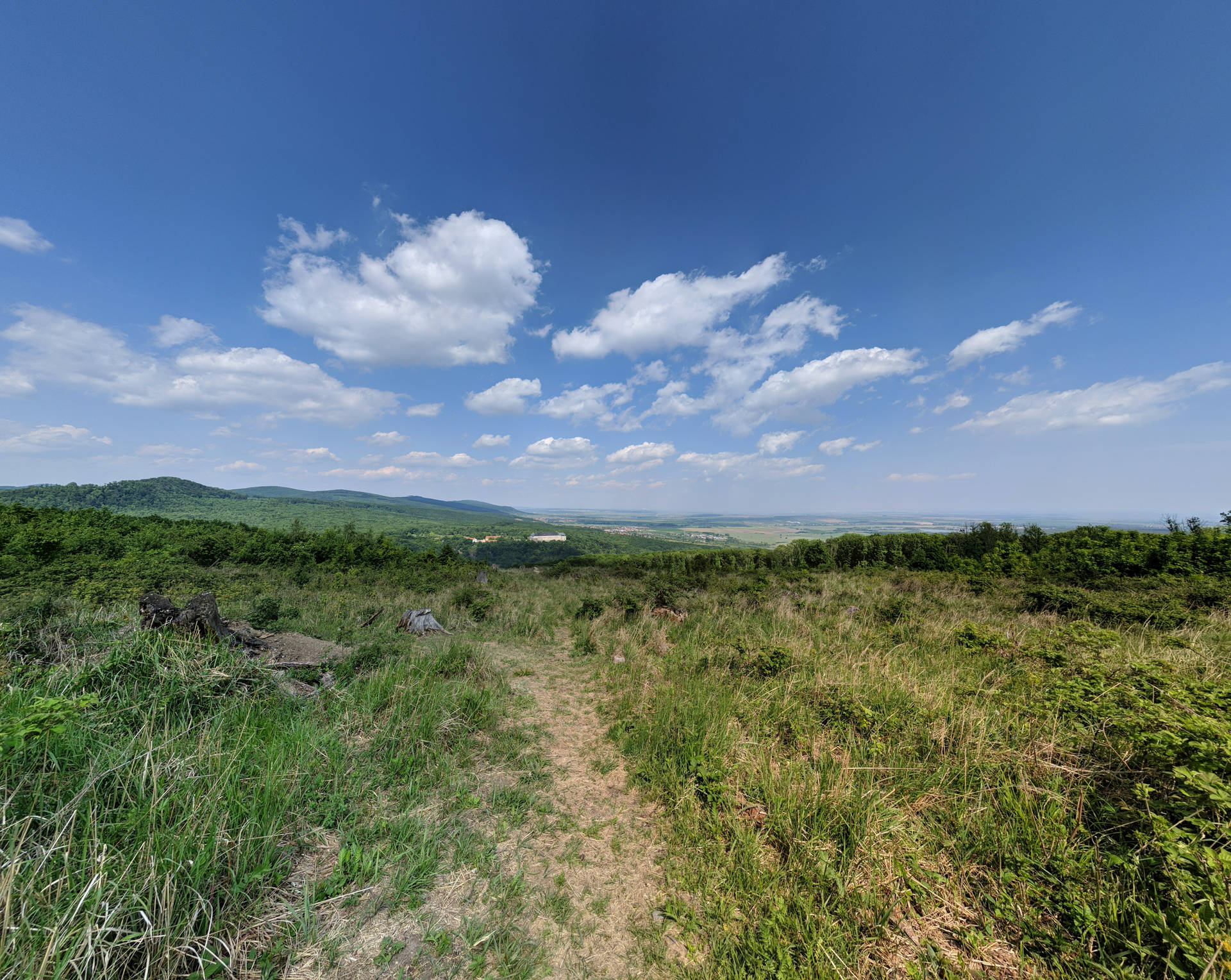 Slovakia Grass Field Background