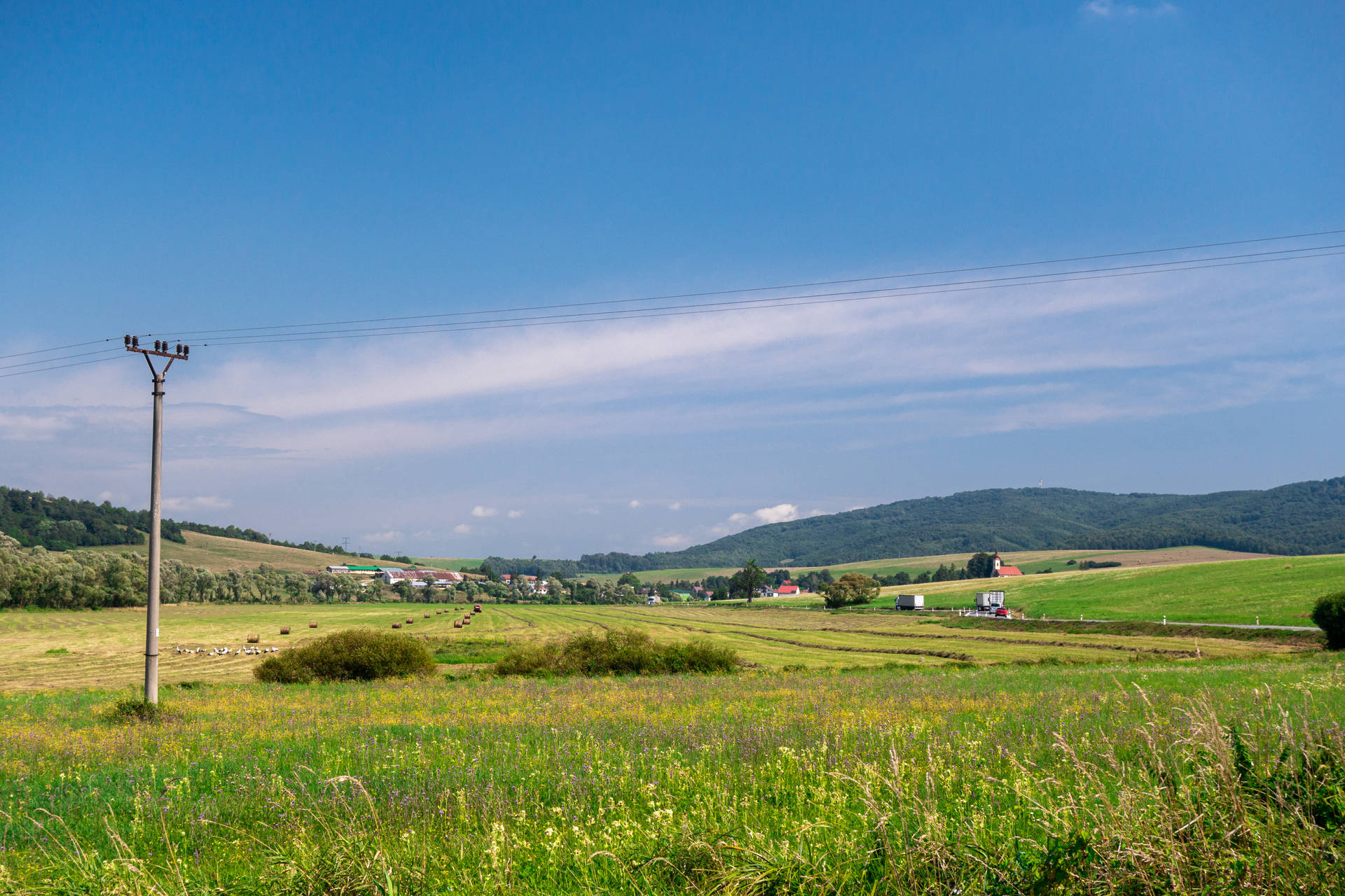 Slovakia Grassland With Flowers Background