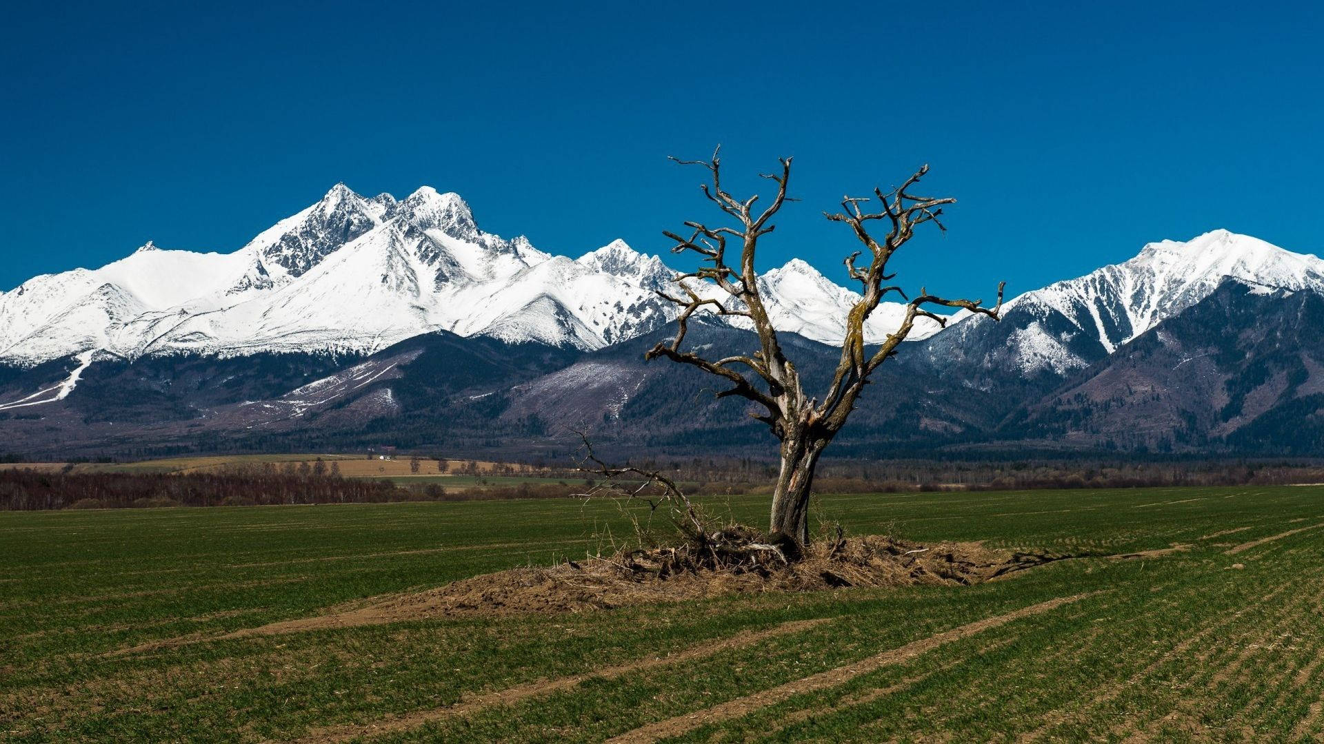 Slovakia Icy Mountain