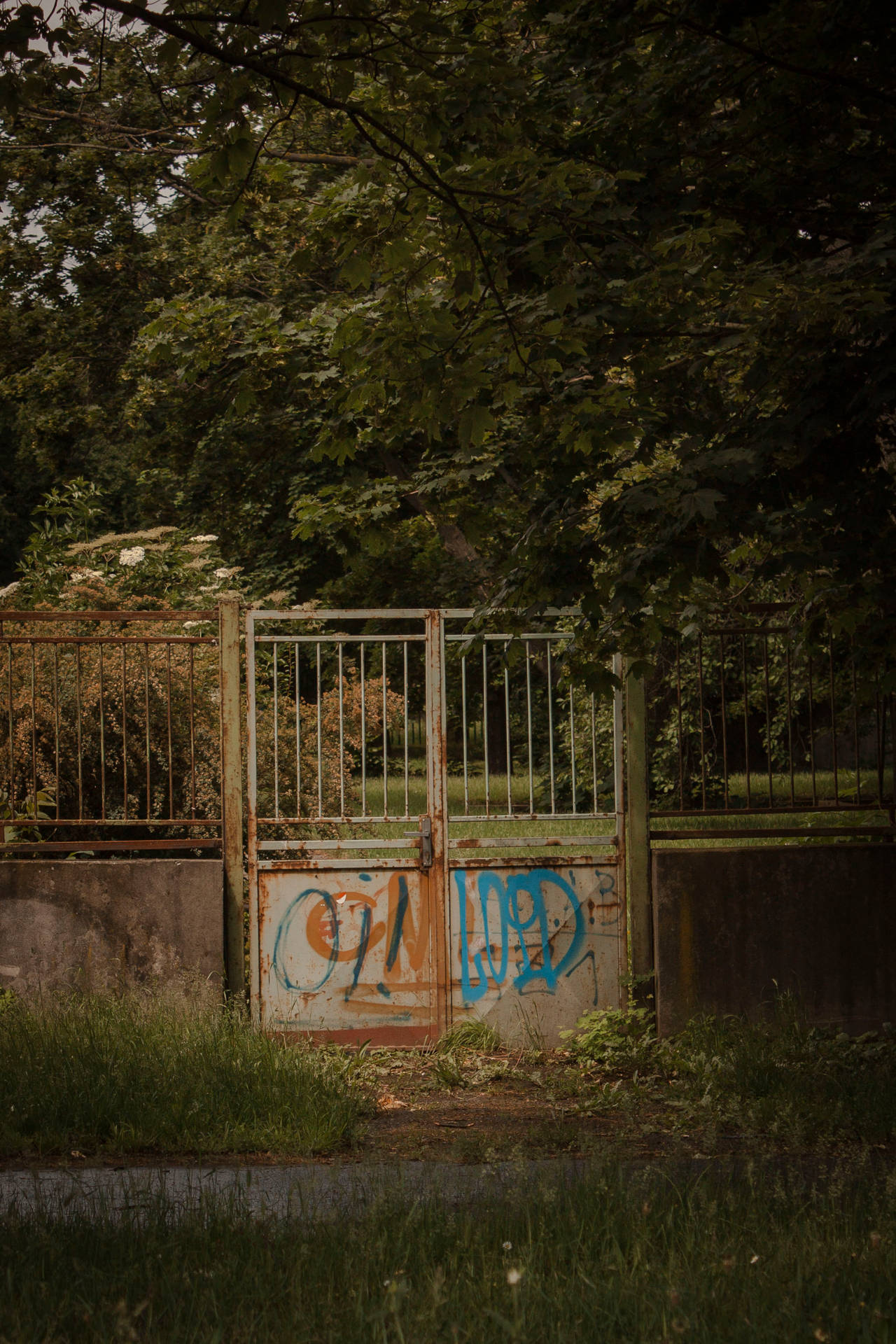 Slovakia Old Gate