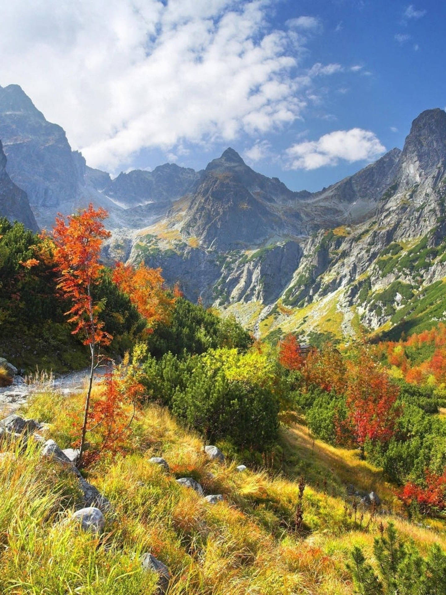 Slovakia Plants And Mountain