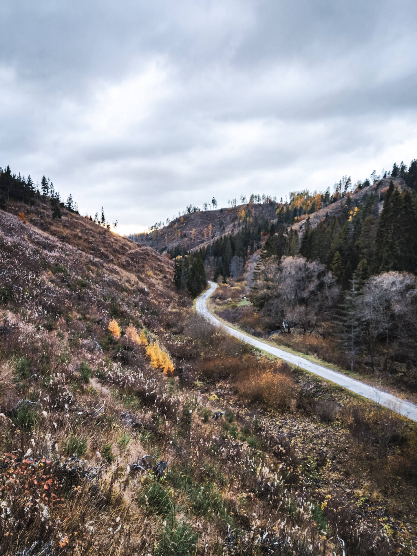 Slovakia Road Between Hills Background