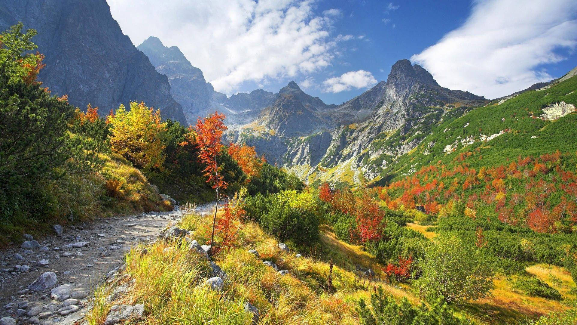 Slovakia Road To Mountain Background