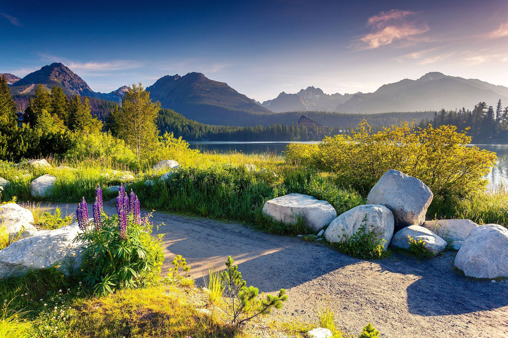 Slovakia Road With Plants Background