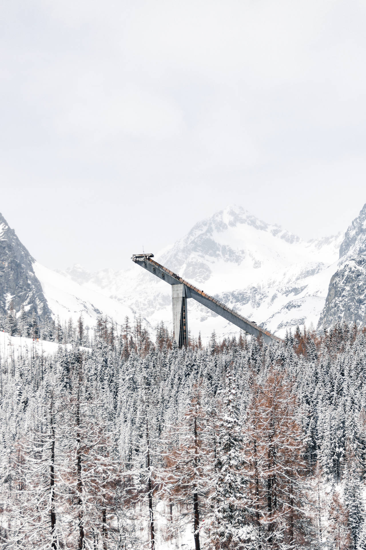 Slovakia Trees And Mountain Background