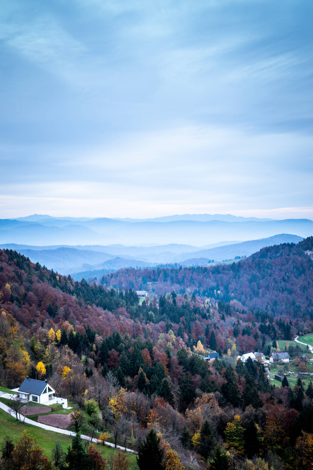 Slovenia Medvode Autumn Trees Background
