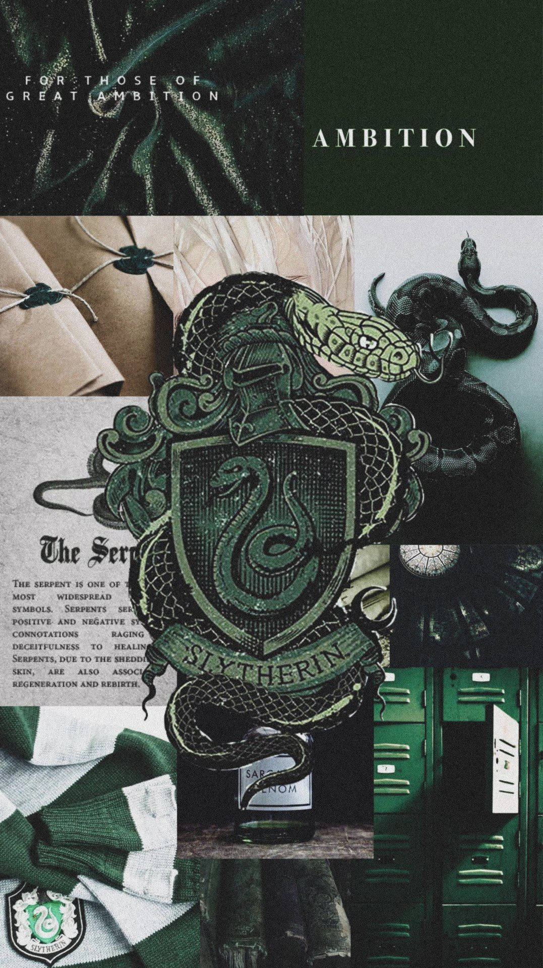 Slytherin Aesthetic Cartoonish Snake Emblem Background