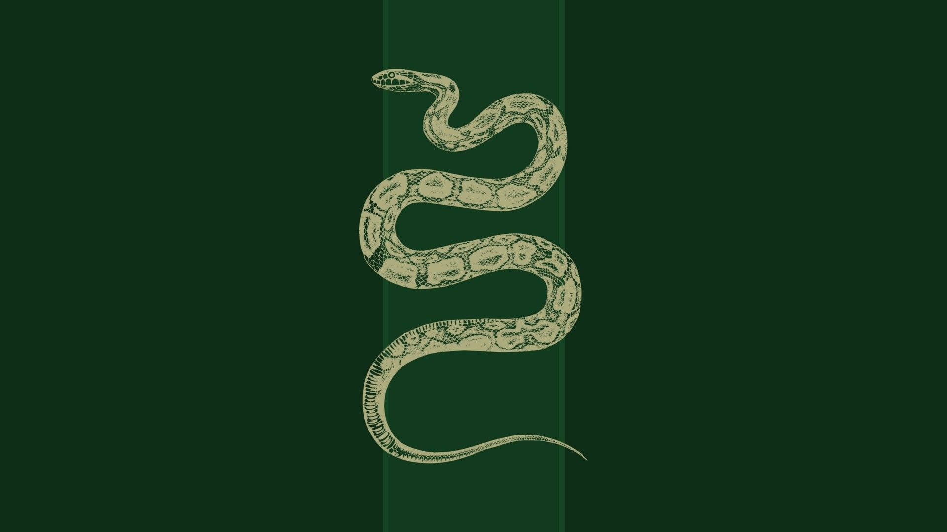 Slytherin Aesthetic Green Snake Background