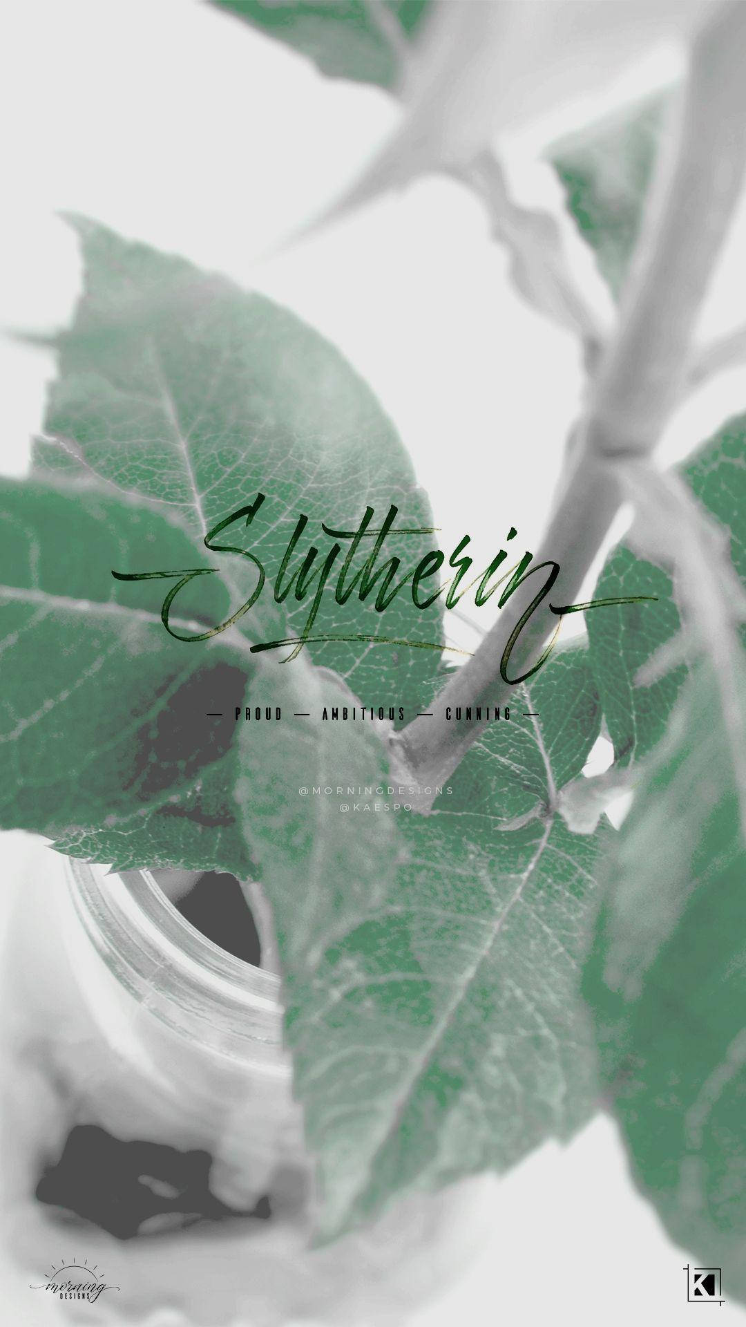 Slytherin Aesthetic Proud Ambitious Cunning Background