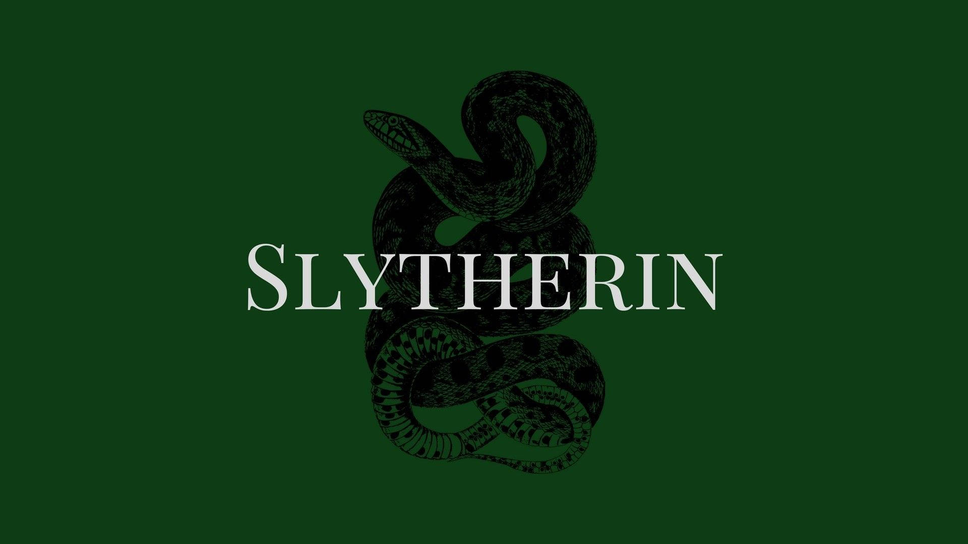 Slytherin Aesthetic Snake Illustration Background