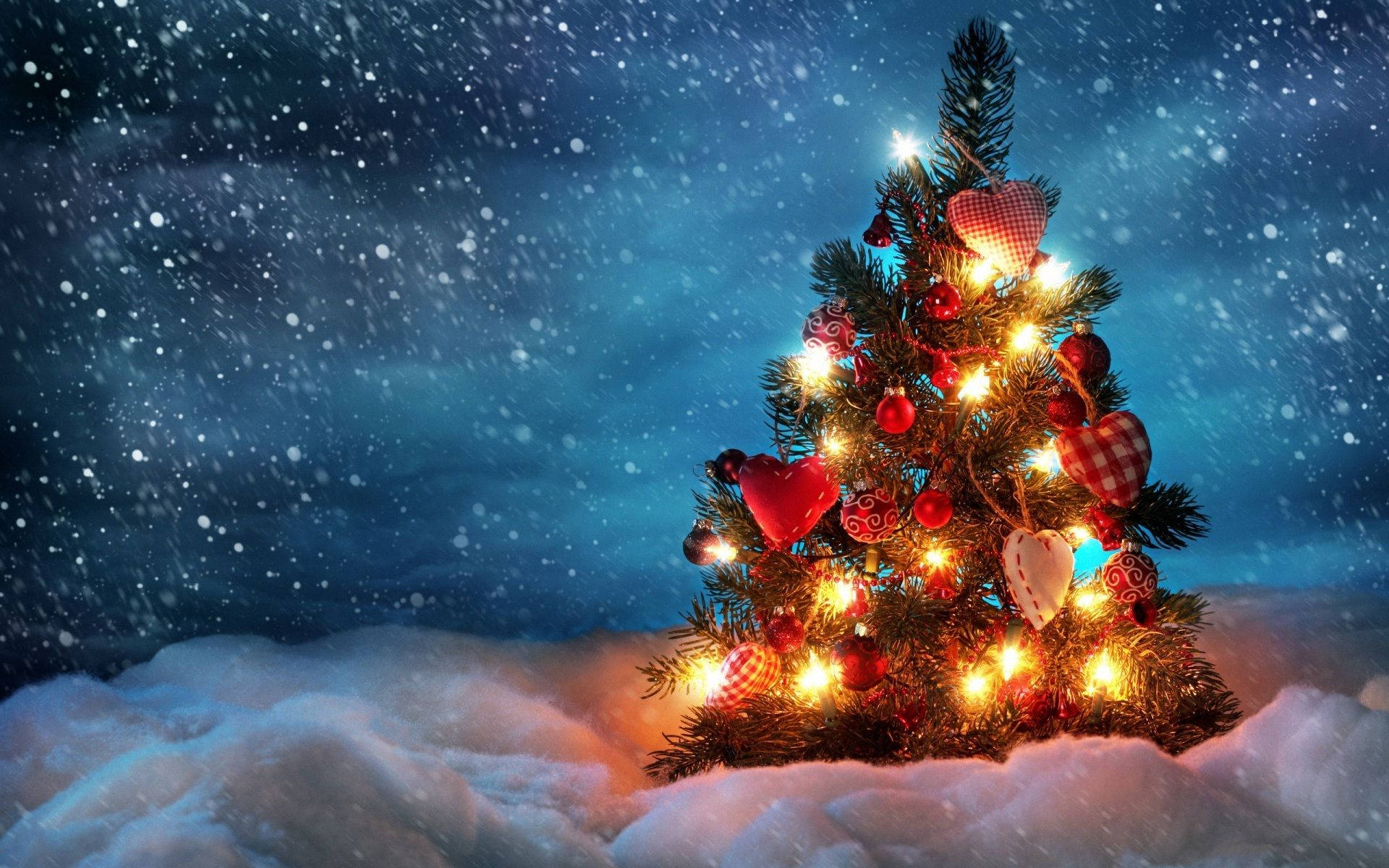 Small Christmas Tree On Snowy Night Background
